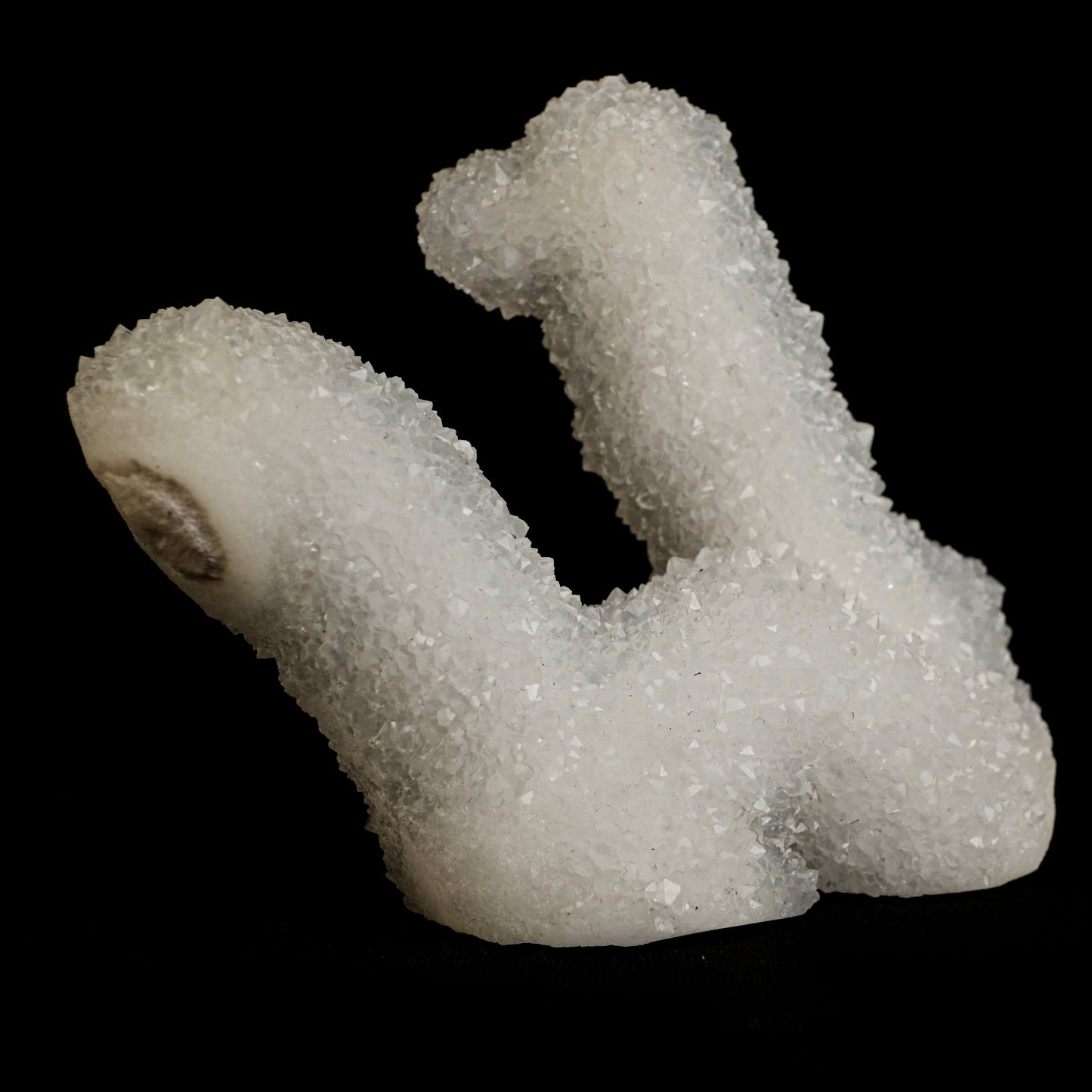 Sparkling MM Quartz Coral Formation Natural Mineral Specimen # B 5024 https://www.superbminerals.us/products/sparkling-mm-quartz-coral-formation-natural-mineral-specimen-b-5024 Features: The specimen is made up of drusy milky Quartz that has pseudomorphed following scalenohedral Calcite crystals.The item is crystallised nearly all the way around, with no matrix and only a few small points of attachment, and is thus on the verge of becoming a complete "floater."