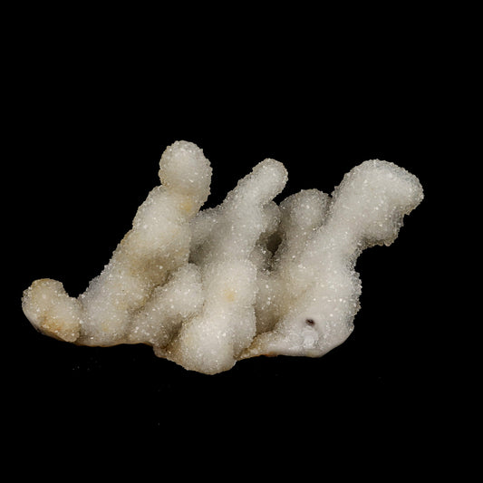 Sprakling MM Quartz Coral Formation Natural Mineral Specimen # B 5239 MM Quartz Superb Minerals