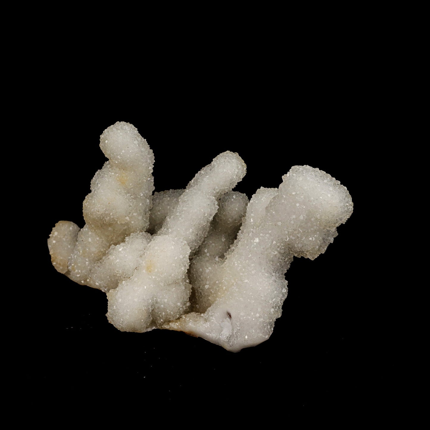 Sprakling MM Quartz Coral Formation Natural Mineral Specimen # B 5239 MM Quartz Superb Minerals