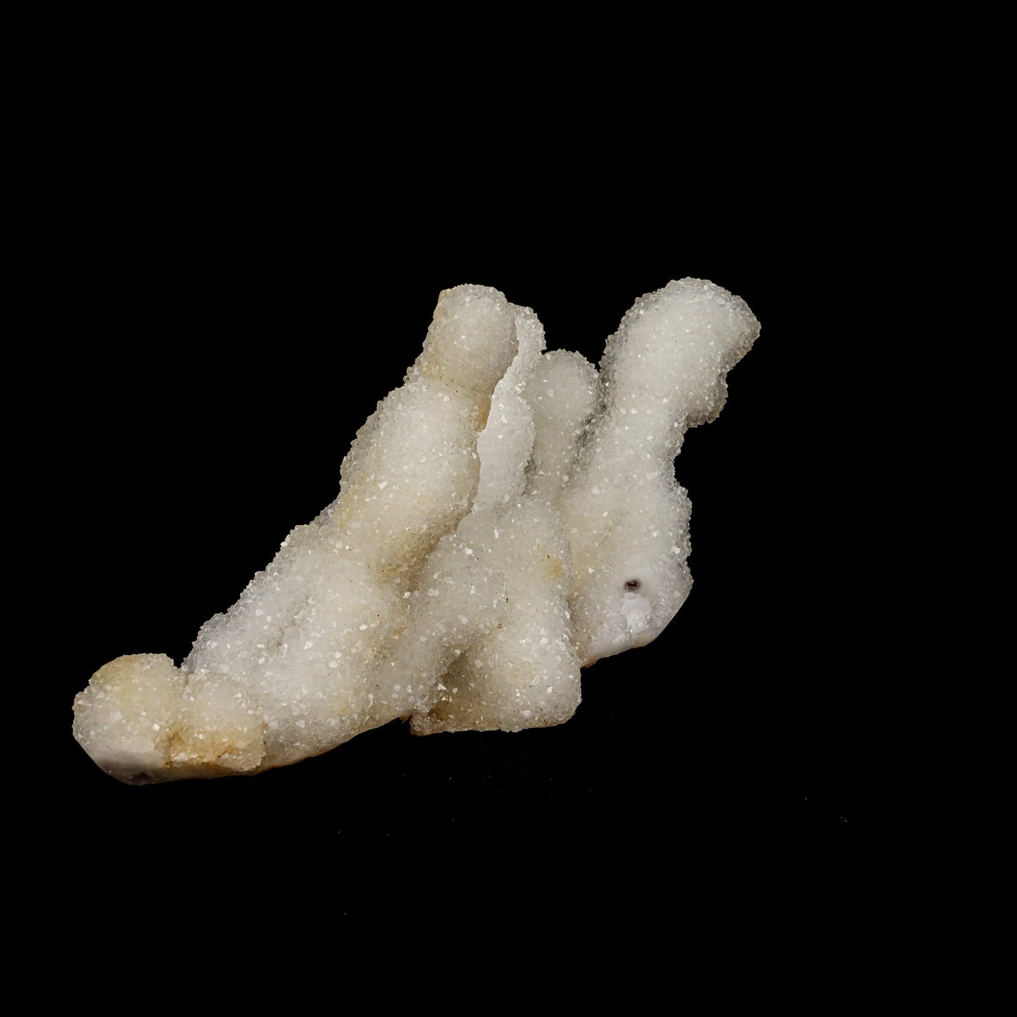 Sprakling MM Quartz Coral Formation Natural Mineral Specimen # B 5239 MM Quartz Superb Minerals