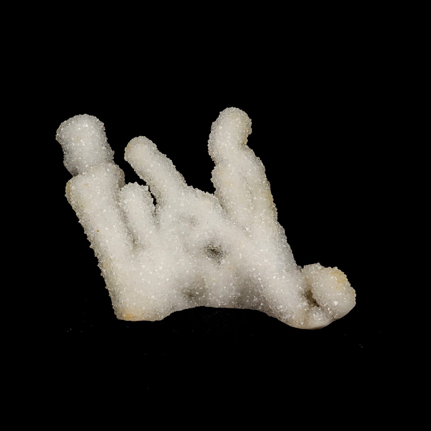 Sprakling MM Quartz Coral Formation Natural Mineral Specimen # B 5239 MM Quartz Superb Minerals
