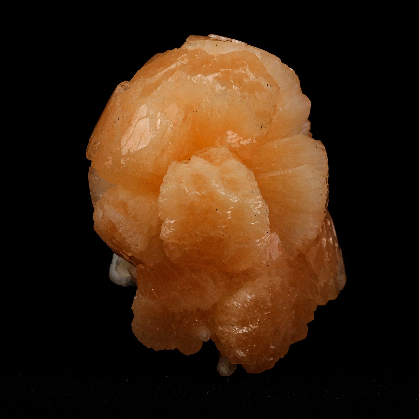 Stellerilite on Chalcedony Rare Find Natural Mineral Specimen # B 511…  https://www.superbminerals.us/products/stellerilite-on-chalcedony-rare-find-natural-mineral-specimen-b-5119  Features: A large,partial radial "ball" of soft orange colored Stellerite is composed of hundreds of thin, tightly intergrown orthorhombic blades sits beautifully on the contrasting black basalt matrix. The piece itself is in excellent condition with no major damage to be seen, only a few TINY imperfections