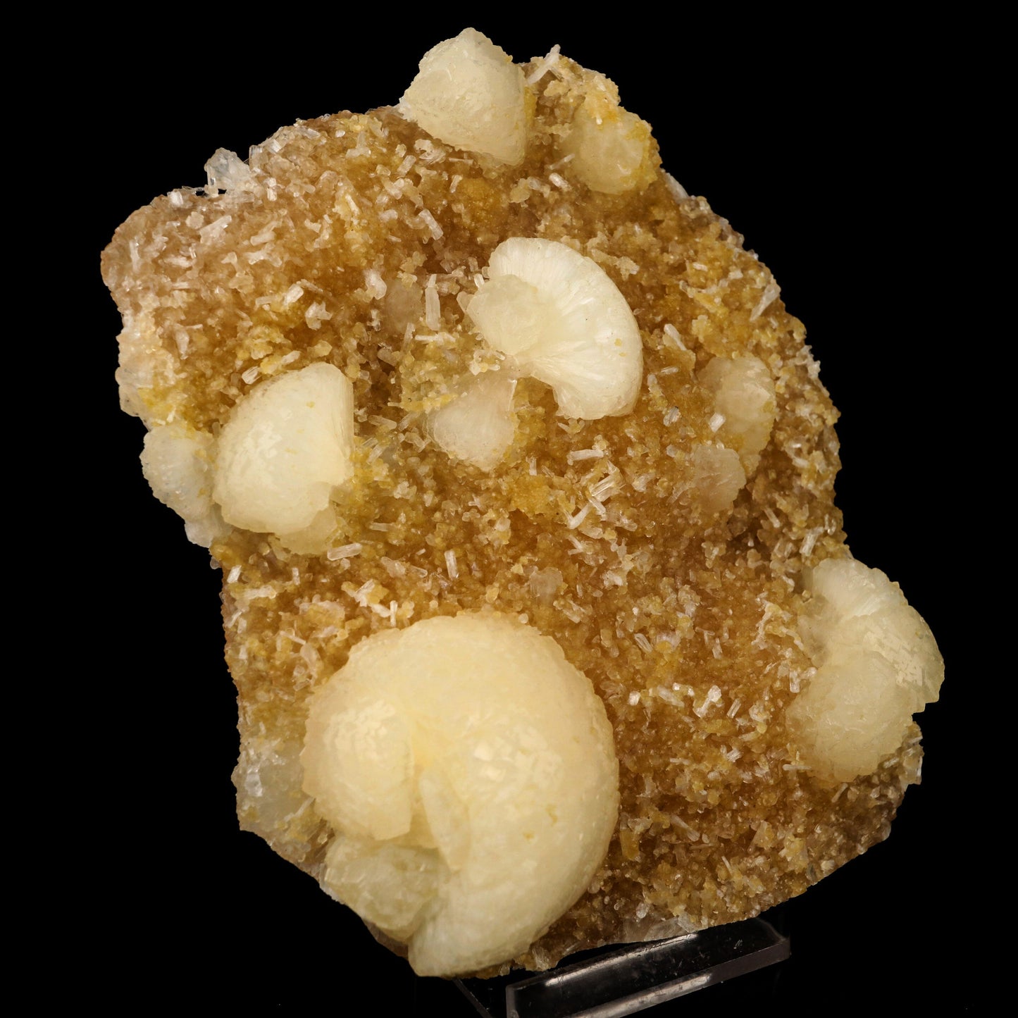 Stellerite with Stilbite Natural Mineral Specimen # B 6437 Stellarite Superb Minerals