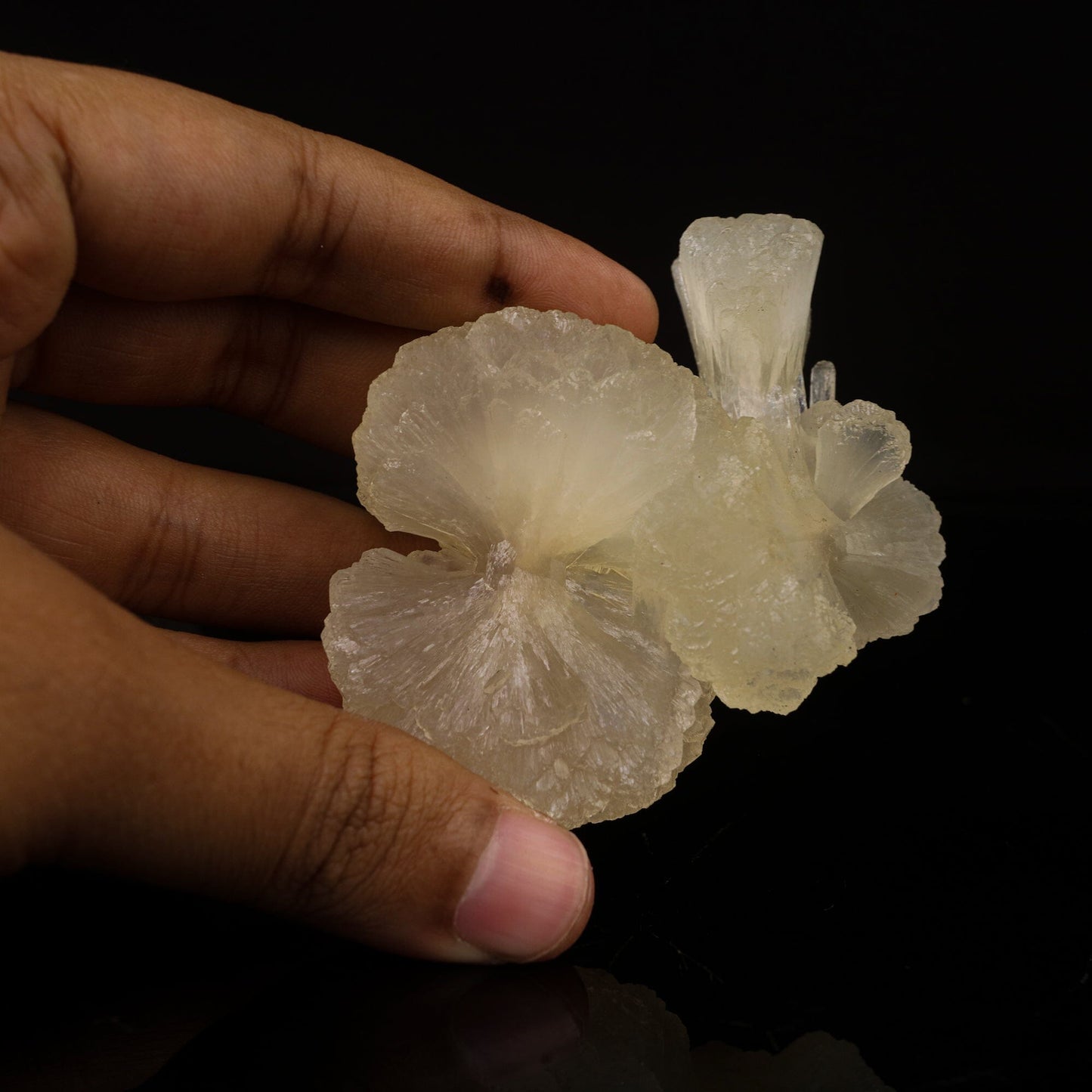 Stilbite Bow Natural Mineral Specimen # B 6728 Stilbite Superb Minerals