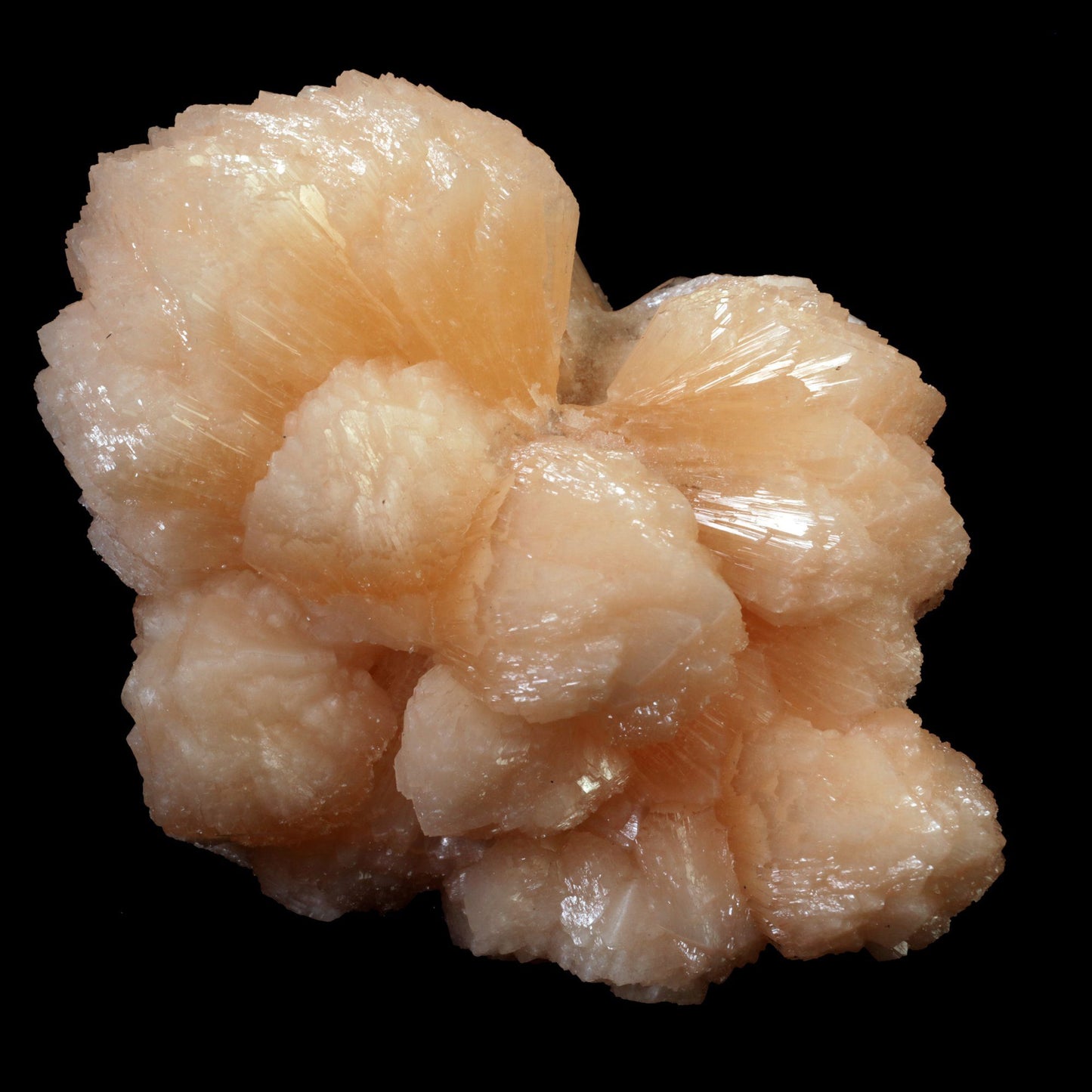 Stilbite Bow Shape Pink Stilbite Natural Mineral Specimen # B 3402 This is a superb, lustrous, translucent, salmon pink, "bow tie," of stilbite. The form and color are spectacular! Totally common as a species, totally typical in classic bowtie form; Unique specimen for display purpose.Primary Mineral(s): StilbiteSecondary Mineral(s): N/AMatrix: N/A12 cm x 13 cm1030 GmsLocalit
