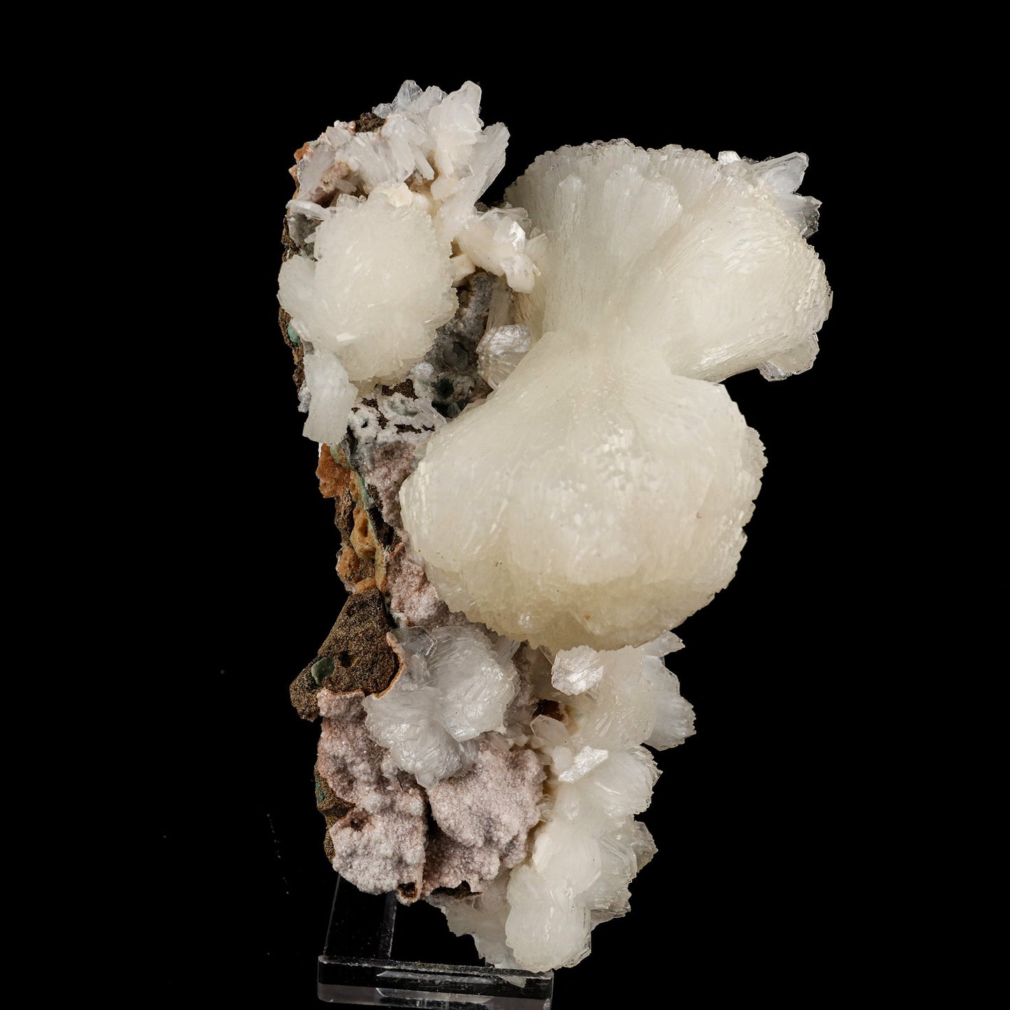 Stilbite Bow Tie Cluster Natural Mineral Specimen # B 6074 Stilbite Superb Minerals