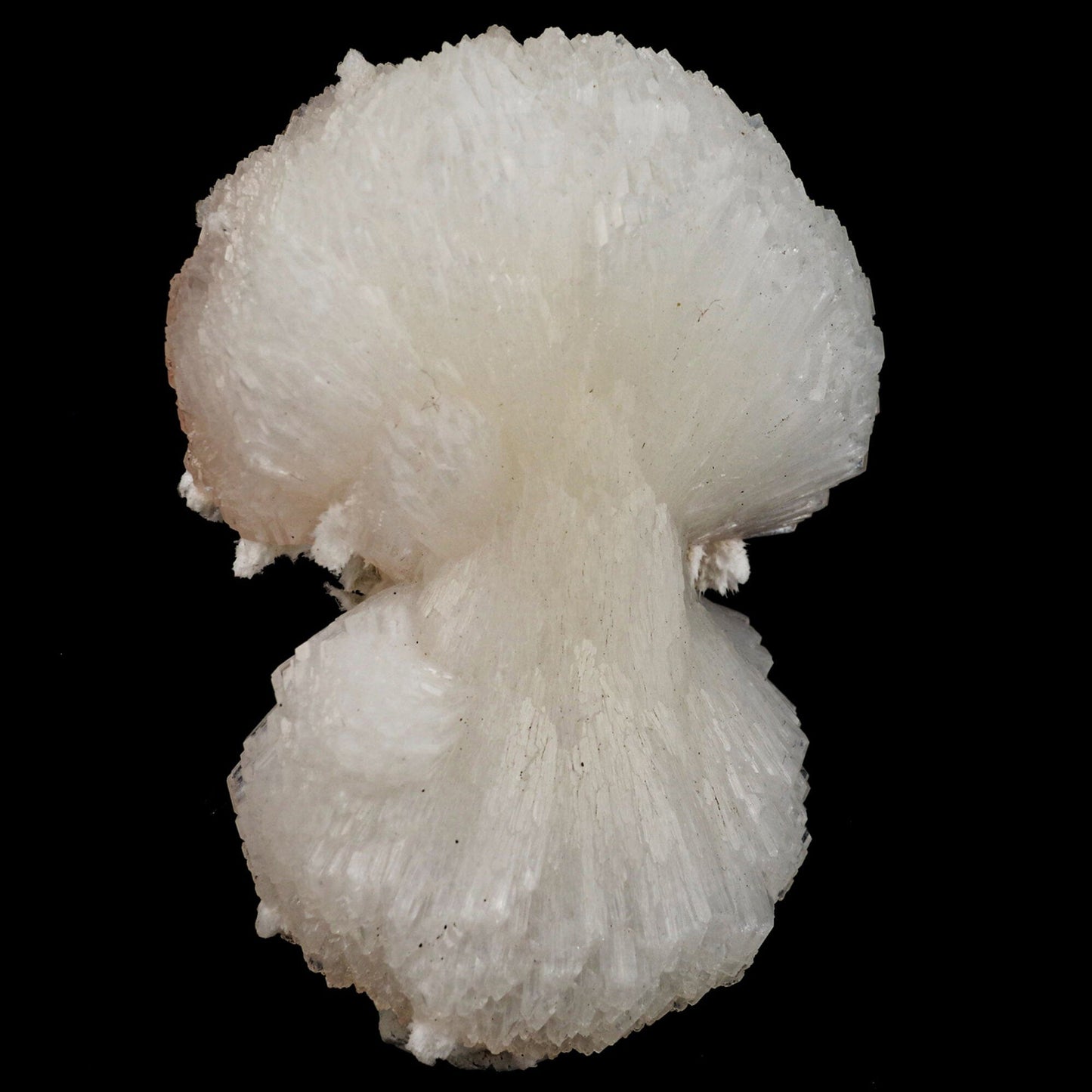 Stilbite 'Bow-Tie' Natural Mineral Specimen # B 6559 Stilbite Superb Minerals