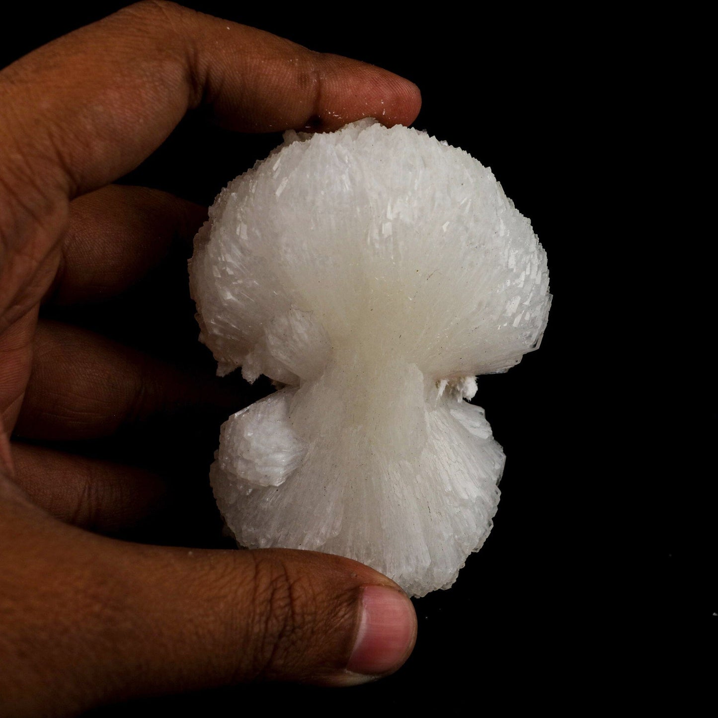 Stilbite 'Bow-Tie' Natural Mineral Specimen # B 6559 Stilbite Superb Minerals