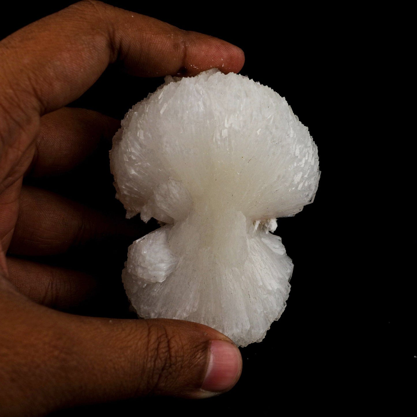 Stilbite 'Bow-Tie' Natural Mineral Specimen # B 6559 Stilbite Superb Minerals 