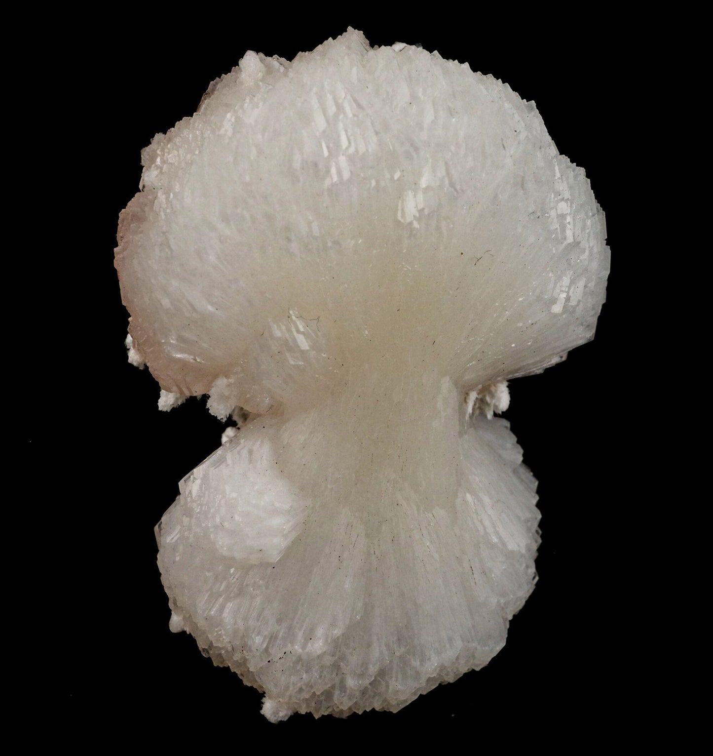 Stilbite 'Bow-Tie' Natural Mineral Specimen # B 6559 Stilbite Superb Minerals