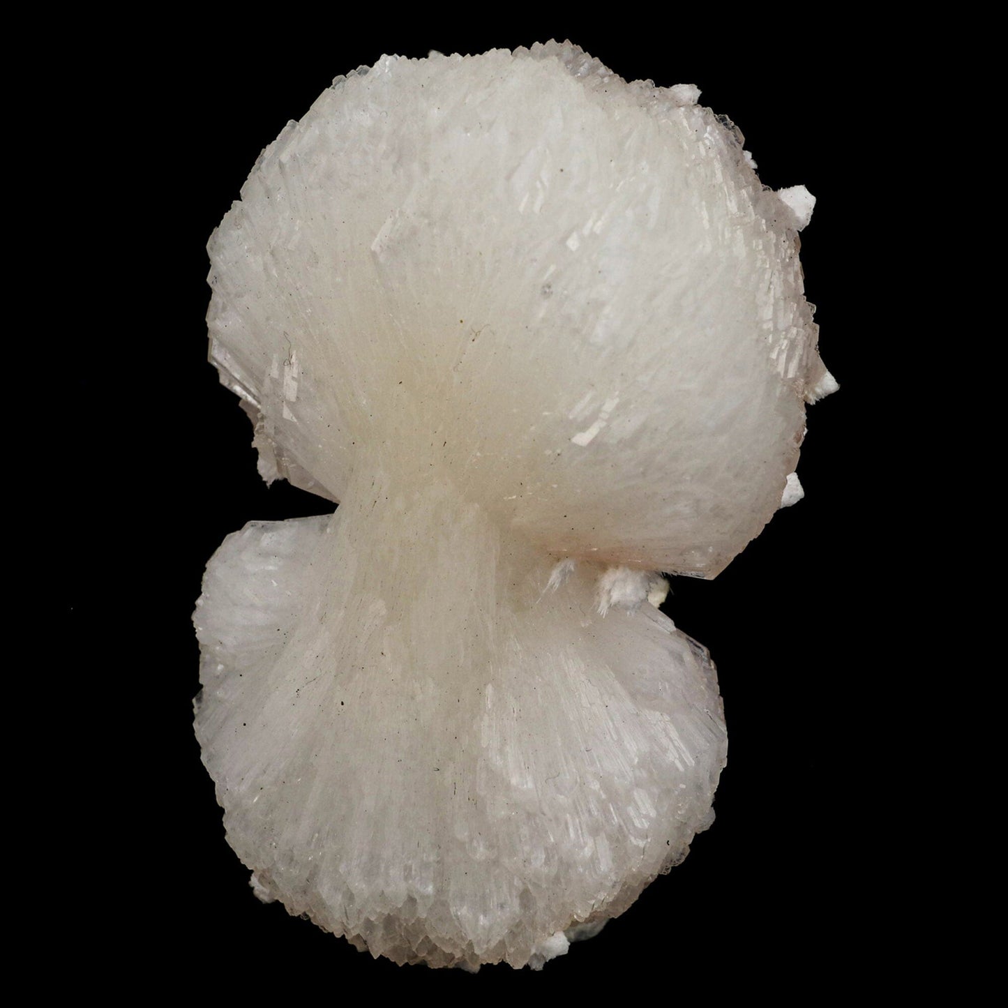 Stilbite 'Bow-Tie' Natural Mineral Specimen # B 6559 Stilbite Superb Minerals