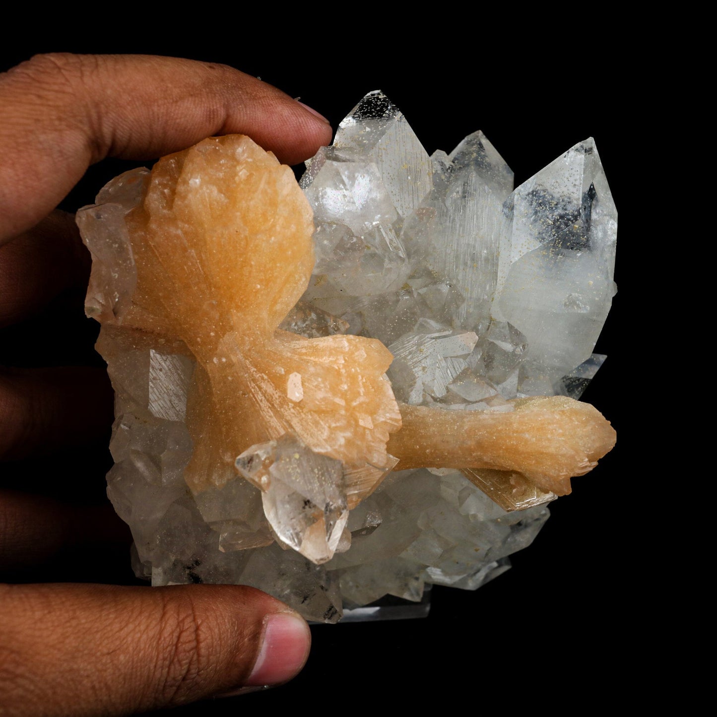 Stilbite 'Bow-Tie' on Apophyllite Natural Mineral Specimen # B 6471 Stilbite Superb Minerals 