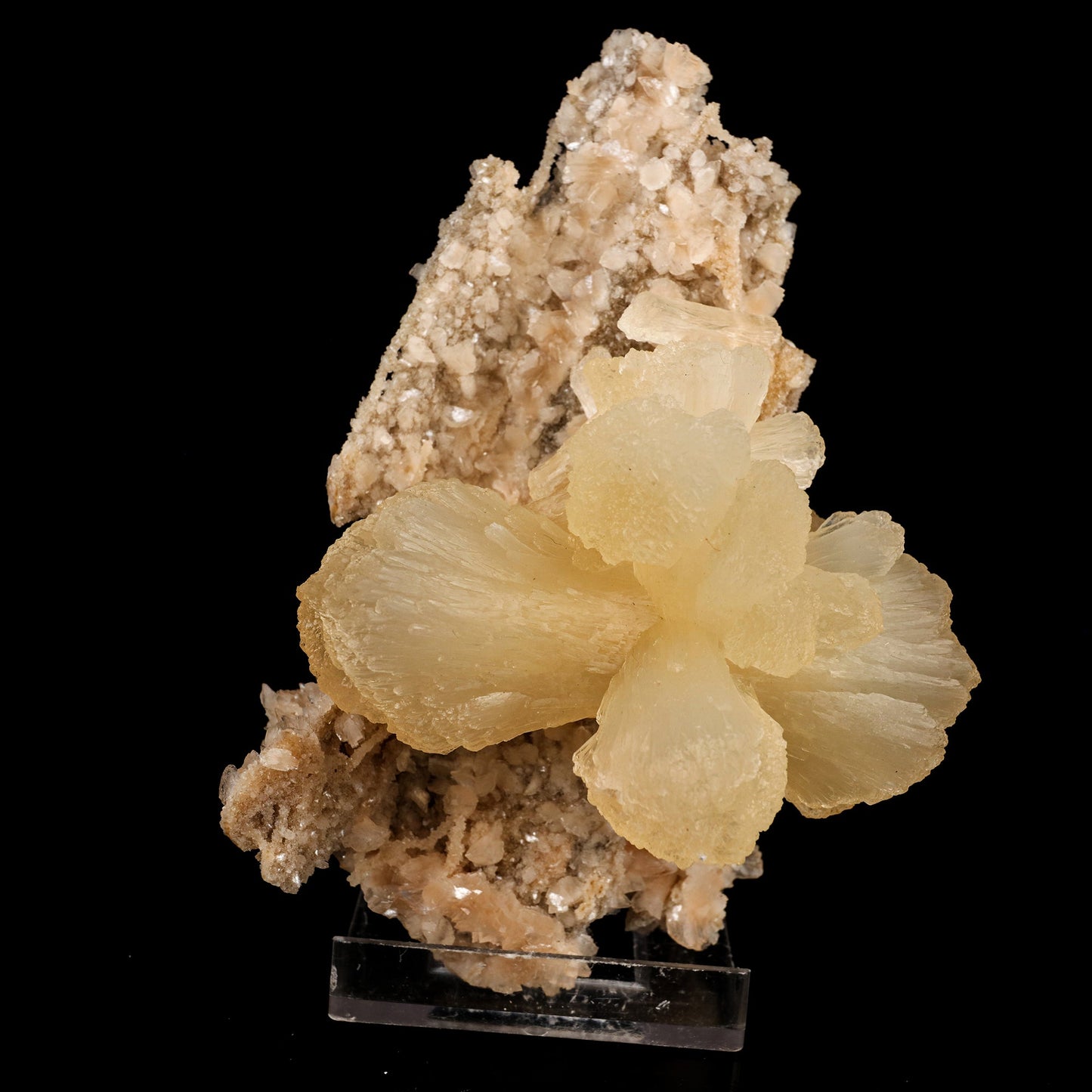 Stilbite 'Bow-Tie' on Heulandite Natural Mineral Specimen # B 6337 Stilbite Superb Minerals