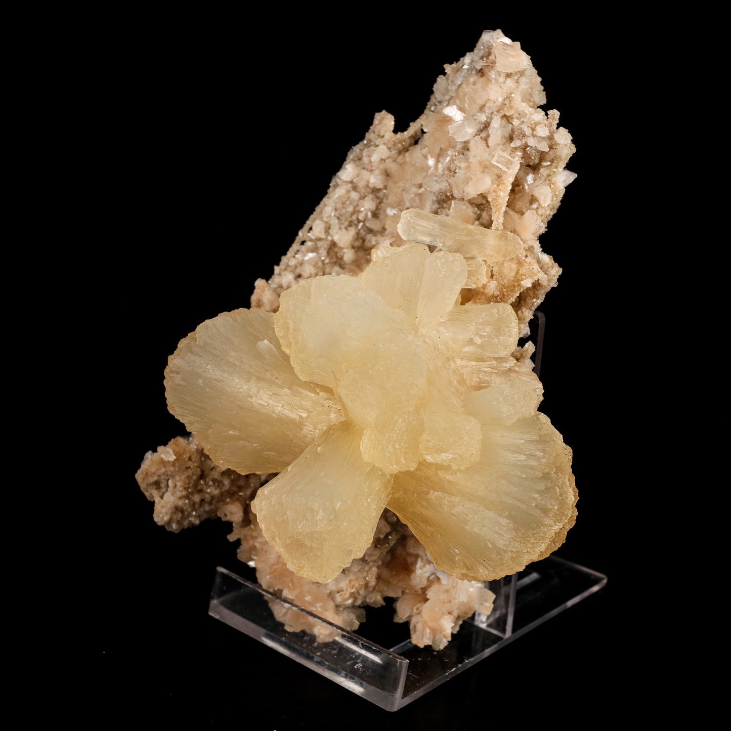 Stilbite 'Bow-Tie' on Heulandite Natural Mineral Specimen # B 6337 Stilbite Superb Minerals