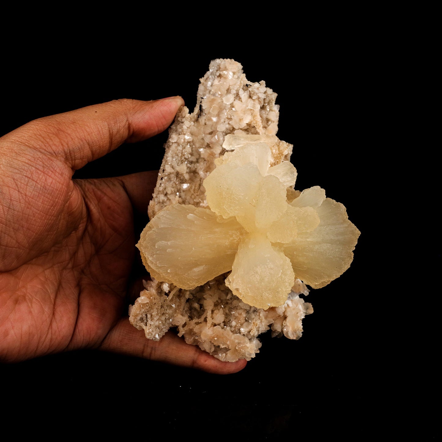 Stilbite 'Bow-Tie' on Heulandite Natural Mineral Specimen # B 6337 Stilbite Superb Minerals