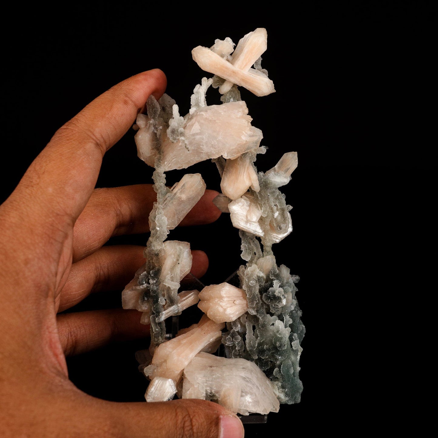 Stilbite Crystals on Chalcedony Coral Formation Natural Mineral Specimen # B 6571 Chalcedony Superb Minerals