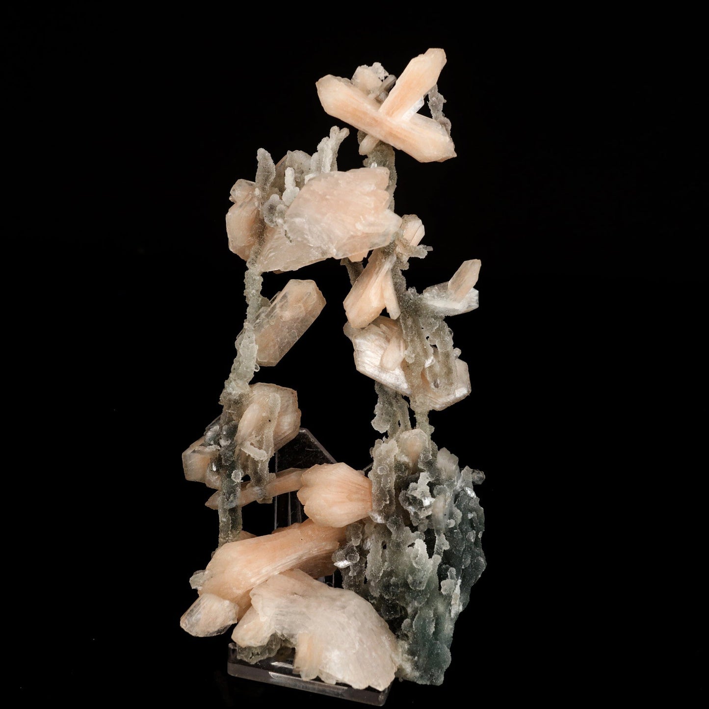 Stilbite Crystals on Chalcedony Coral Formation Natural Mineral Specimen # B 6571 Chalcedony Superb Minerals