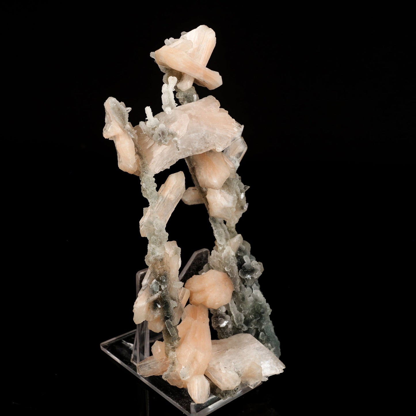 Stilbite Crystals on Chalcedony Coral Formation Natural Mineral Specimen # B 6571 Chalcedony Superb Minerals