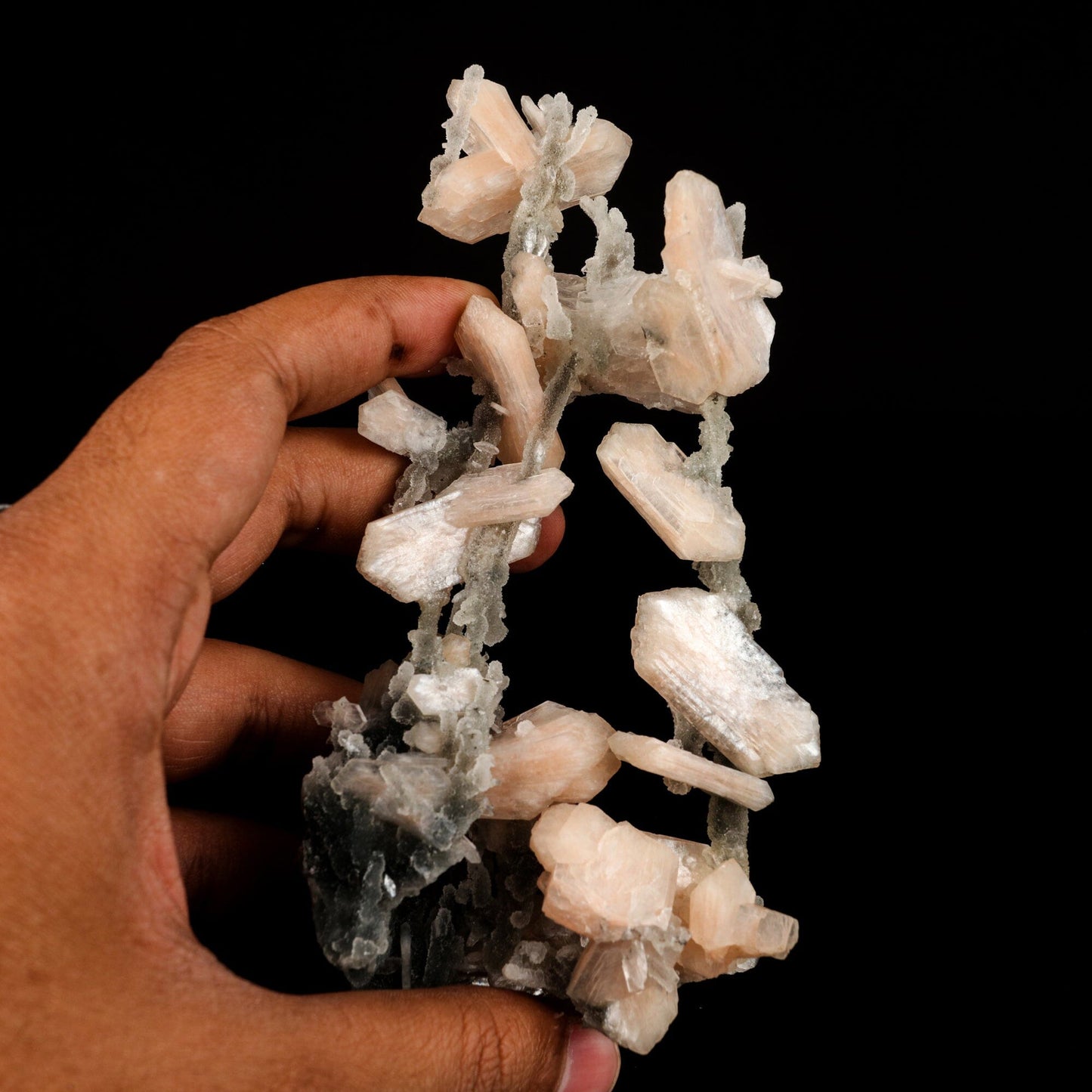 Stilbite Crystals on Chalcedony Coral Formation Natural Mineral Specimen # B 6571 Chalcedony Superb Minerals