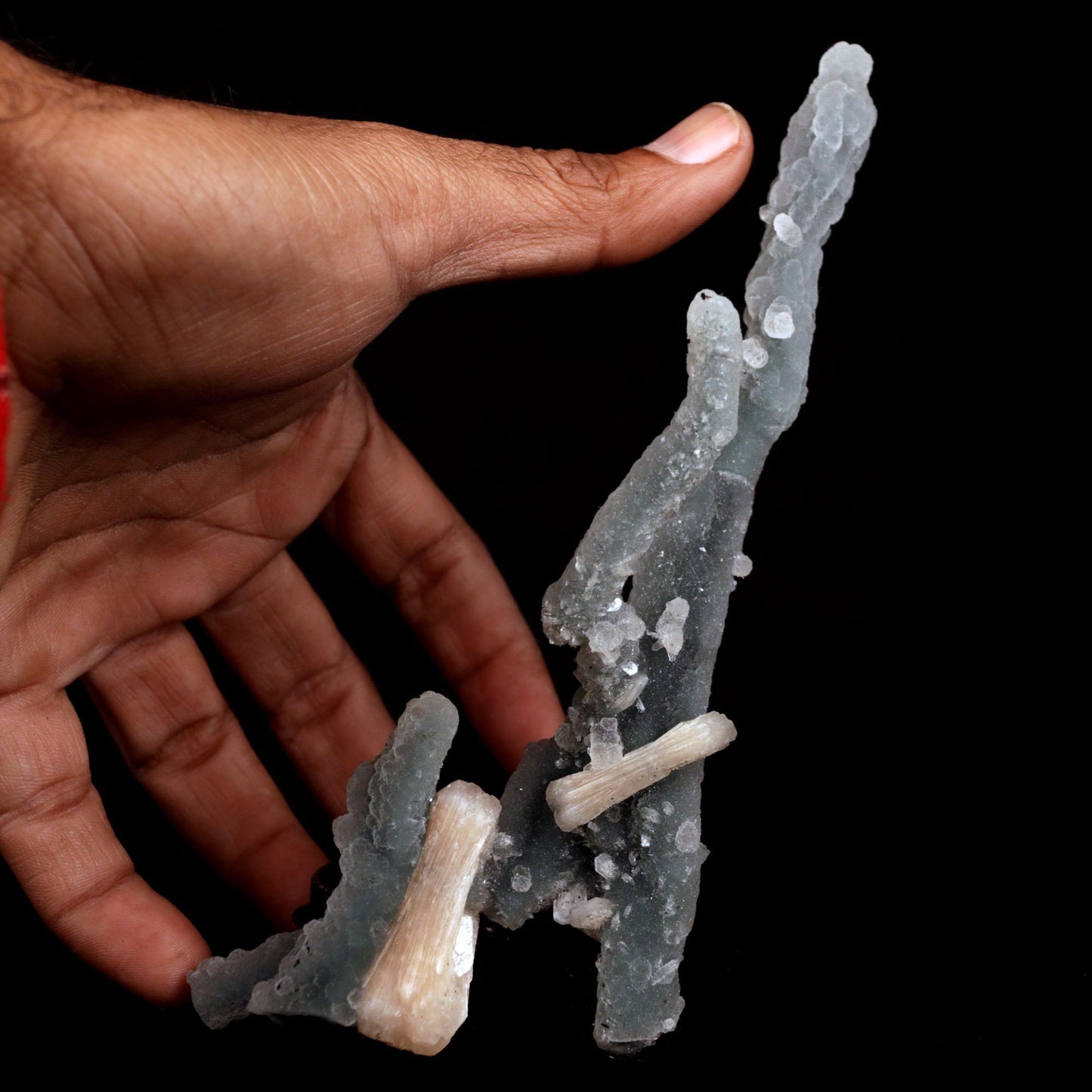 Stilbite Crystals on Chalcedony Stalactite (Repair) Natural Mineral Sp… https://www.superbminerals.us/products/stilbite-crystals-on-chalcedony-stalactite-repair-natural-mineral-specimen-b-4824 Features: Unusual Stilbite from India, exhibiting a transparent, beige crystal with a pearly sheen sitting atop an off-white stalactitic Chalcedony cluster in an aesthetically pleasing display. A one-of-a-kind item in superb condition. Primary Mineral(s): StilbiteSecondary Mineral(s): N/AMatrix: Chalcedony
