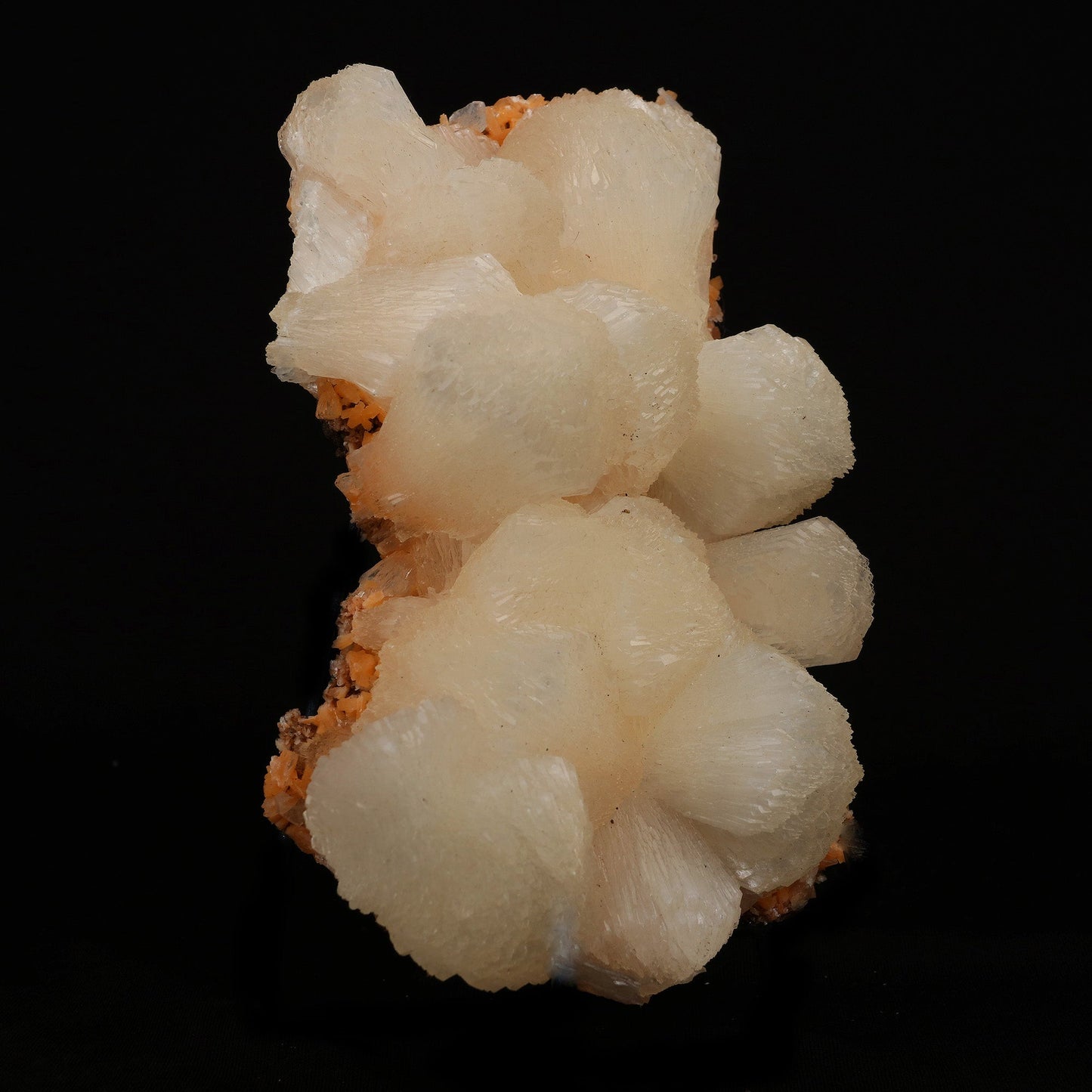Stilbite Lusterous Cluster Natural Mineral Specimen # B 5204 https://www.superbminerals.us/products/stilbite-lusterous-cluster-natural-mineral-specimen-b-5204 Features: Featuring many excellent quality bladed groups of Stilbite in a soft white hue, resting over pearly stalactitic formations of peach colored Heulandite, this piece is a stunning example of the material. The sculpture is really flashy and three-dimensional, and I particularly like how the Stilbites