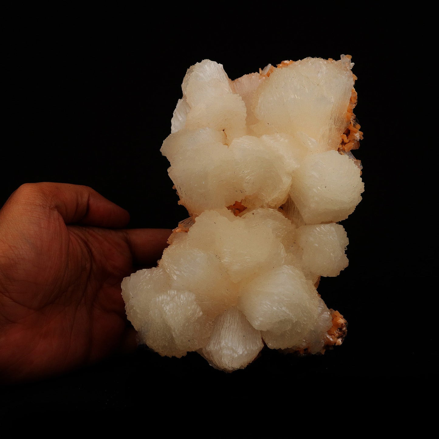 Stilbite Lusterous Cluster Natural Mineral Specimen # B 5204 https://www.superbminerals.us/products/stilbite-lusterous-cluster-natural-mineral-specimen-b-5204 Features: Featuring many excellent quality bladed groups of Stilbite in a soft white hue, resting over pearly stalactitic formations of peach colored Heulandite, this piece is a stunning example of the material. The sculpture is really flashy and three-dimensional, and I particularly like how the Stilbites