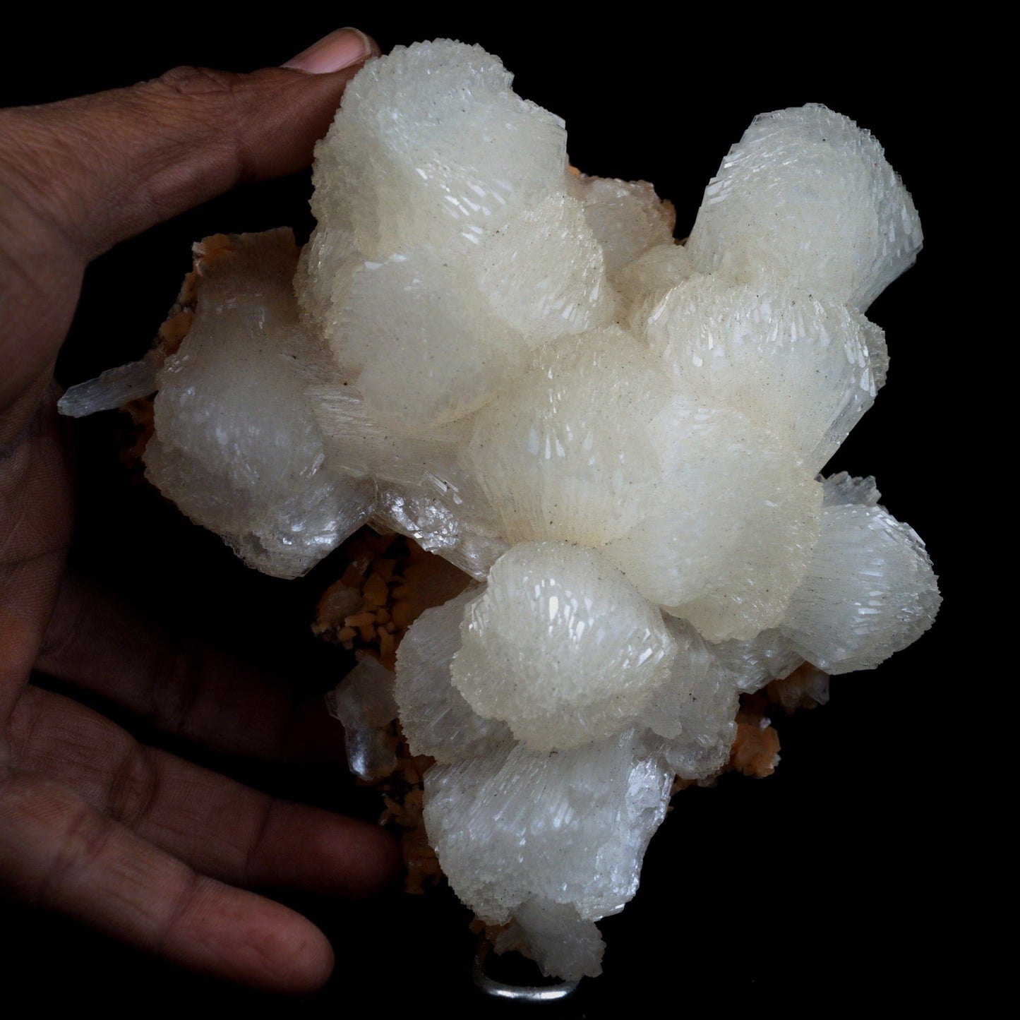 Stilbite Lusterous on Heulandite Natural Mineral Specimen # B 4917 https://www.superbminerals.us/products/stilbite-lusterous-on-heulandite-natural-mineral-specimen-b-4917 Features: A magnificent doubly terminated stilbite bowtie with outstanding wide shape is placed artistically on the blocky basalt matrix. The many glossy bone-white bladed heulandites scattered over the matrix beautifully compliment the very lustrous, transparent, cream-colored stilbite.