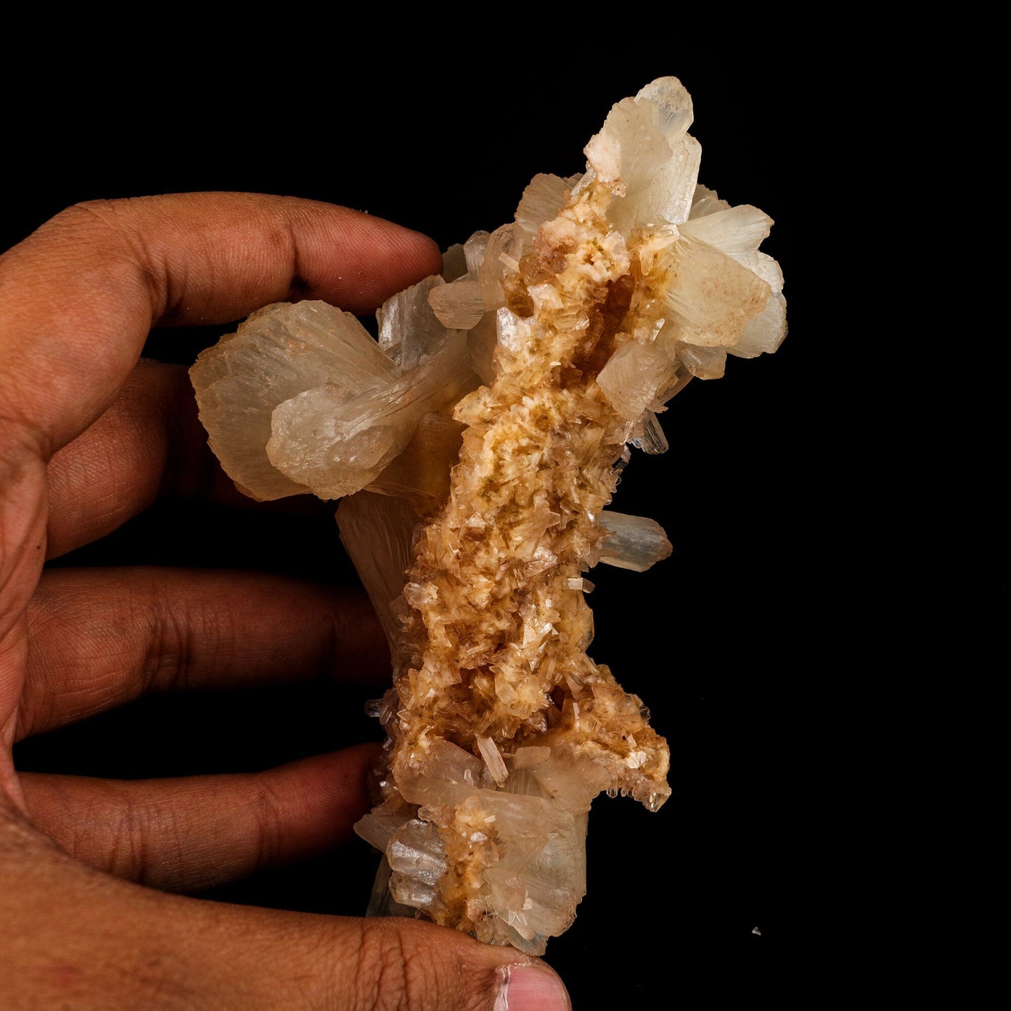 Stilbite Natural Mineral Specimen # B 6592 Stilbite Superb Minerals 