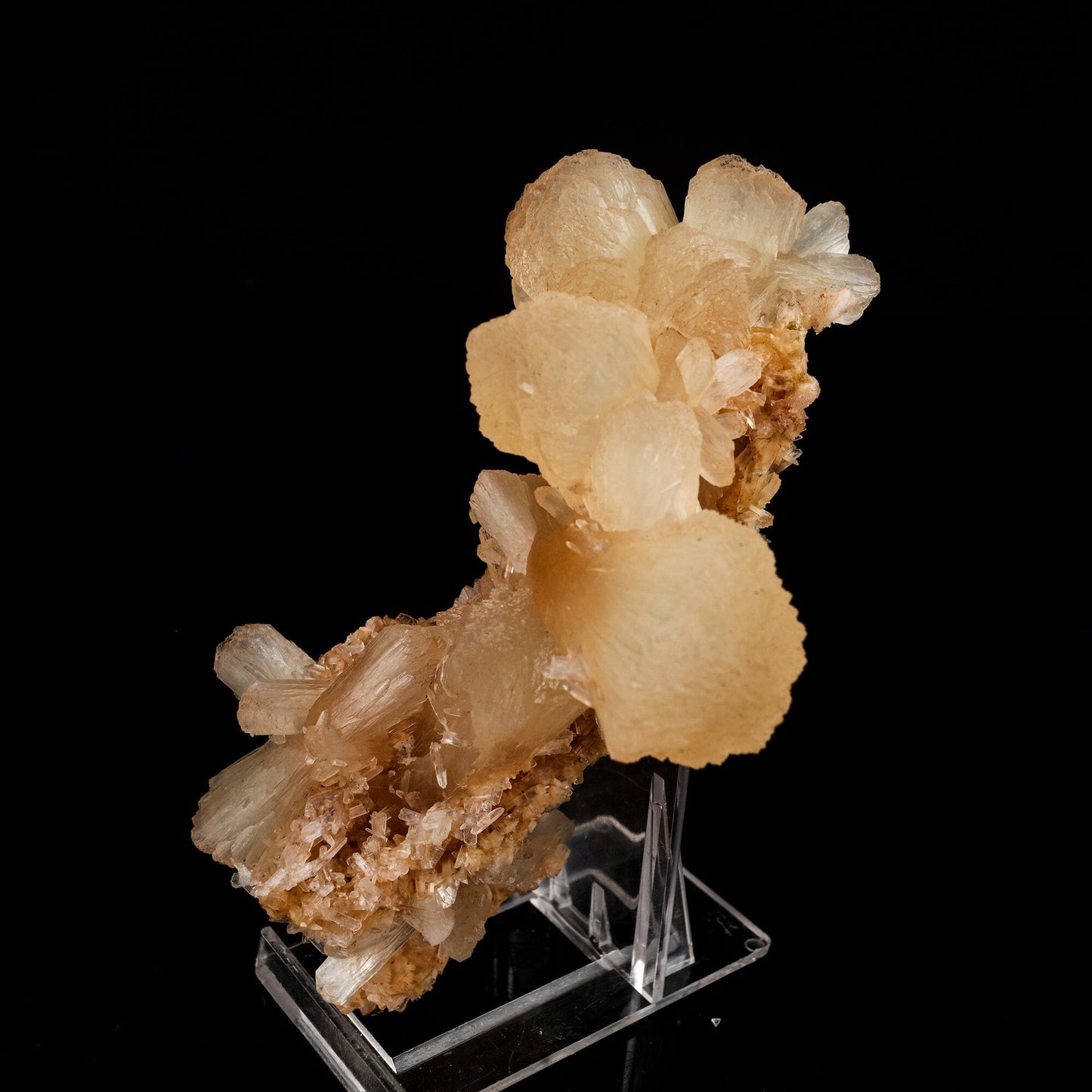 Stilbite Natural Mineral Specimen # B 6592 Stilbite Superb Minerals 