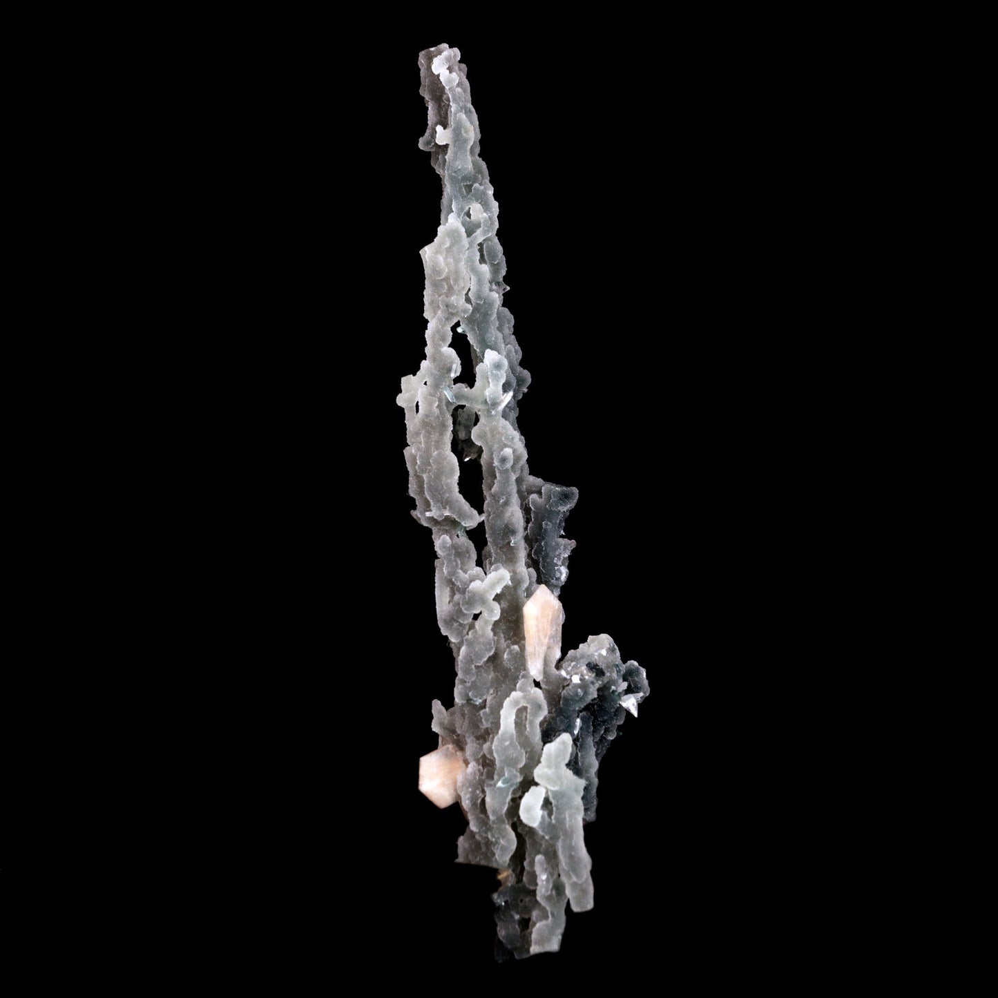 Stilbite on Chalcedony Coral Natural Mineral Specimen # B 4826 https://www.superbminerals.us/products/stilbite-on-chalcedony-coral-natural-mineral-specimen-b-4826 Features: Unusual Stilbite from India, exhibiting a transparent, beige crystal with a pearly sheen sitting atop an off-white stalactitic Chalcedony cluster in an aesthetically pleasing display. A one-of-a-kind item in superb condition. Primary Mineral(s): StilbiteSecondary Mineral(s): N/AMatrix: Chalcedony