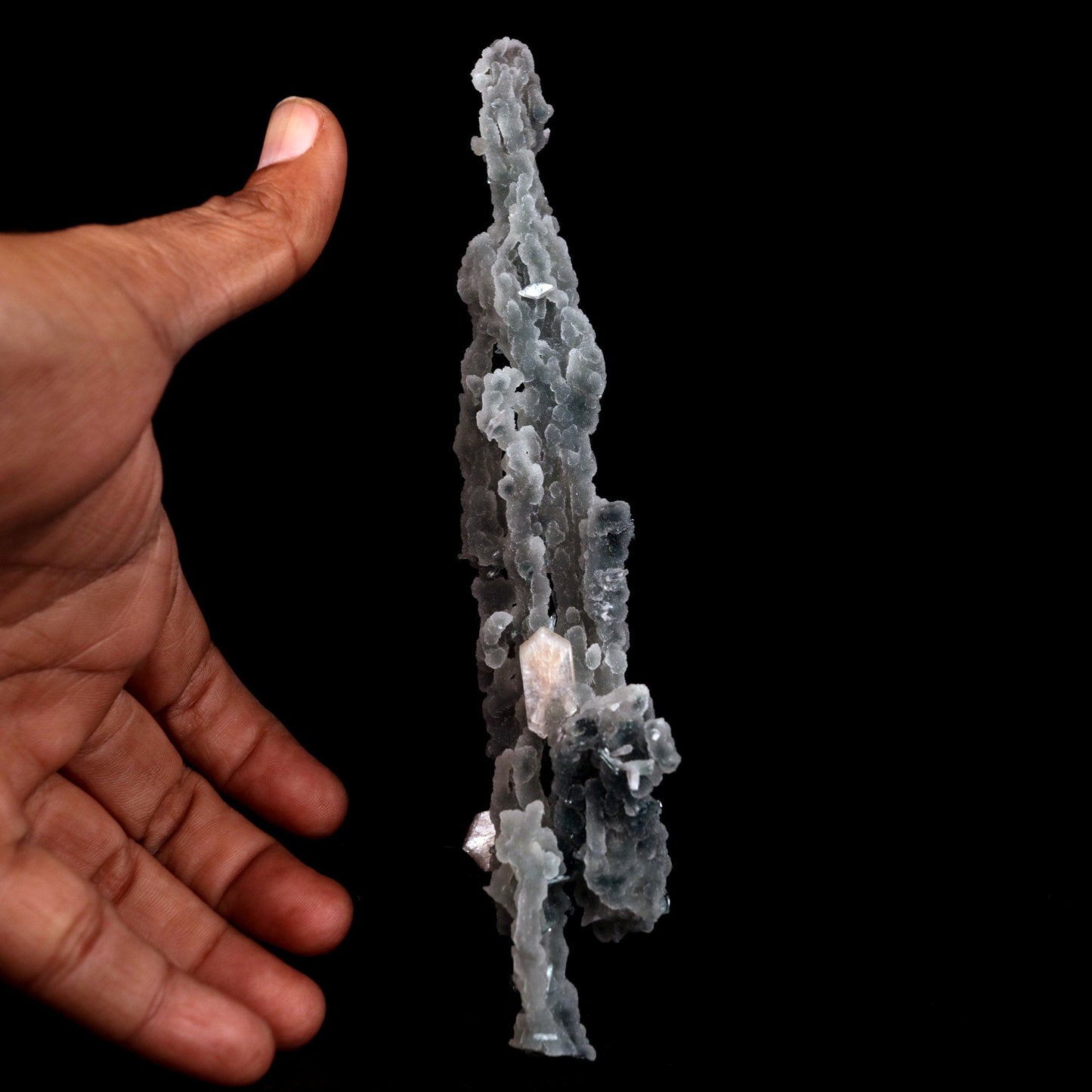 Stilbite on Chalcedony Coral Natural Mineral Specimen # B 4826 https://www.superbminerals.us/products/stilbite-on-chalcedony-coral-natural-mineral-specimen-b-4826 Features: Unusual Stilbite from India, exhibiting a transparent, beige crystal with a pearly sheen sitting atop an off-white stalactitic Chalcedony cluster in an aesthetically pleasing display. A one-of-a-kind item in superb condition. Primary Mineral(s): StilbiteSecondary Mineral(s): N/AMatrix: Chalcedony