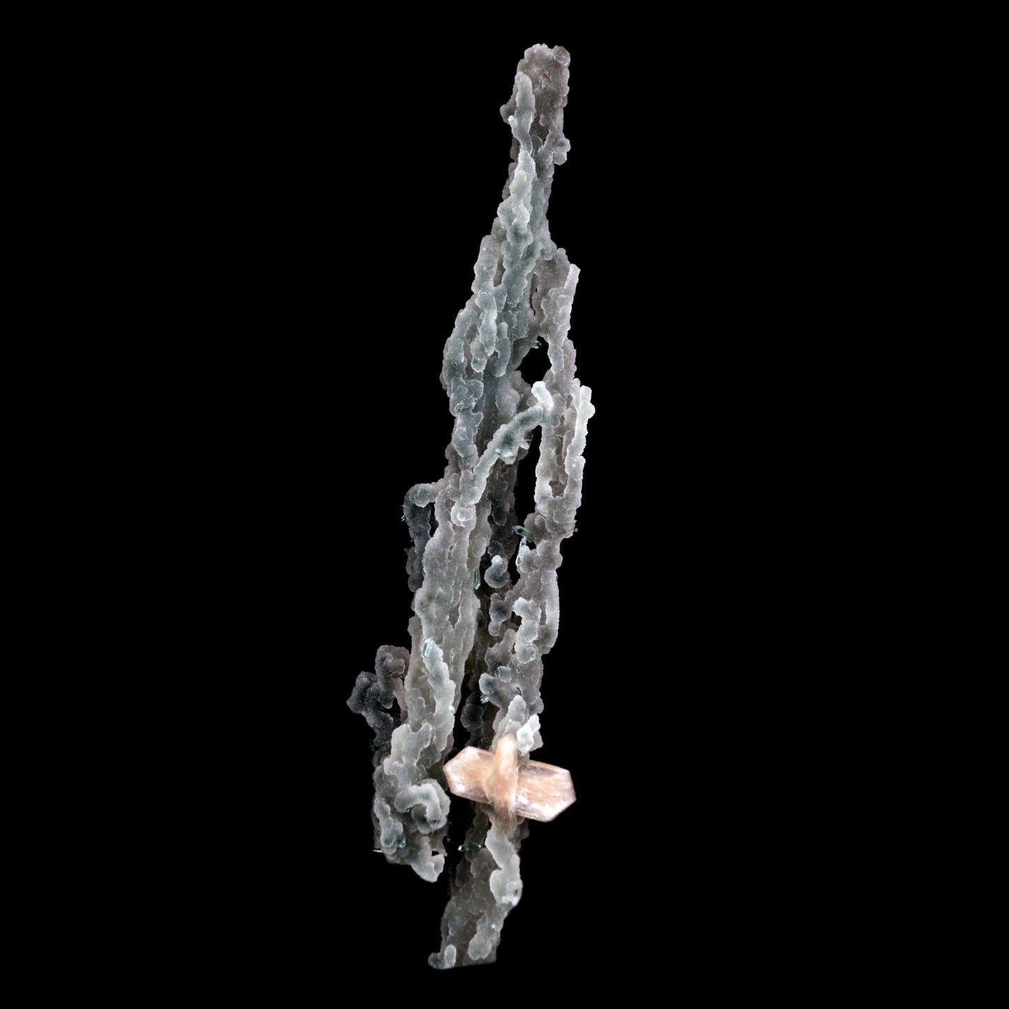 Stilbite on Chalcedony Coral Natural Mineral Specimen # B 4826 https://www.superbminerals.us/products/stilbite-on-chalcedony-coral-natural-mineral-specimen-b-4826 Features: Unusual Stilbite from India, exhibiting a transparent, beige crystal with a pearly sheen sitting atop an off-white stalactitic Chalcedony cluster in an aesthetically pleasing display. A one-of-a-kind item in superb condition. Primary Mineral(s): StilbiteSecondary Mineral(s): N/AMatrix: Chalcedony