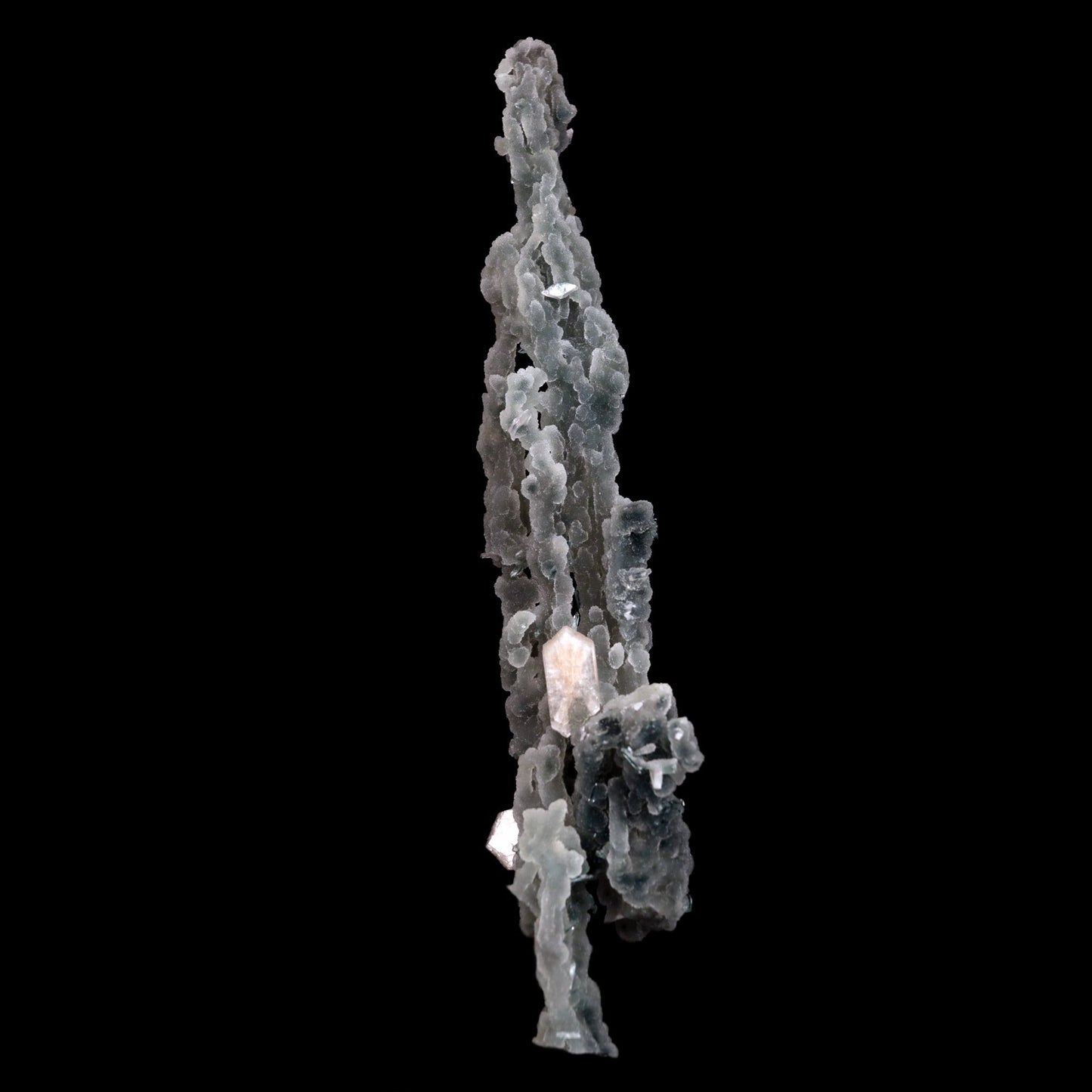 Stilbite on Chalcedony Coral Natural Mineral Specimen # B 4826 https://www.superbminerals.us/products/stilbite-on-chalcedony-coral-natural-mineral-specimen-b-4826 Features: Unusual Stilbite from India, exhibiting a transparent, beige crystal with a pearly sheen sitting atop an off-white stalactitic Chalcedony cluster in an aesthetically pleasing display. A one-of-a-kind item in superb condition. Primary Mineral(s): StilbiteSecondary Mineral(s): N/AMatrix: Chalcedony