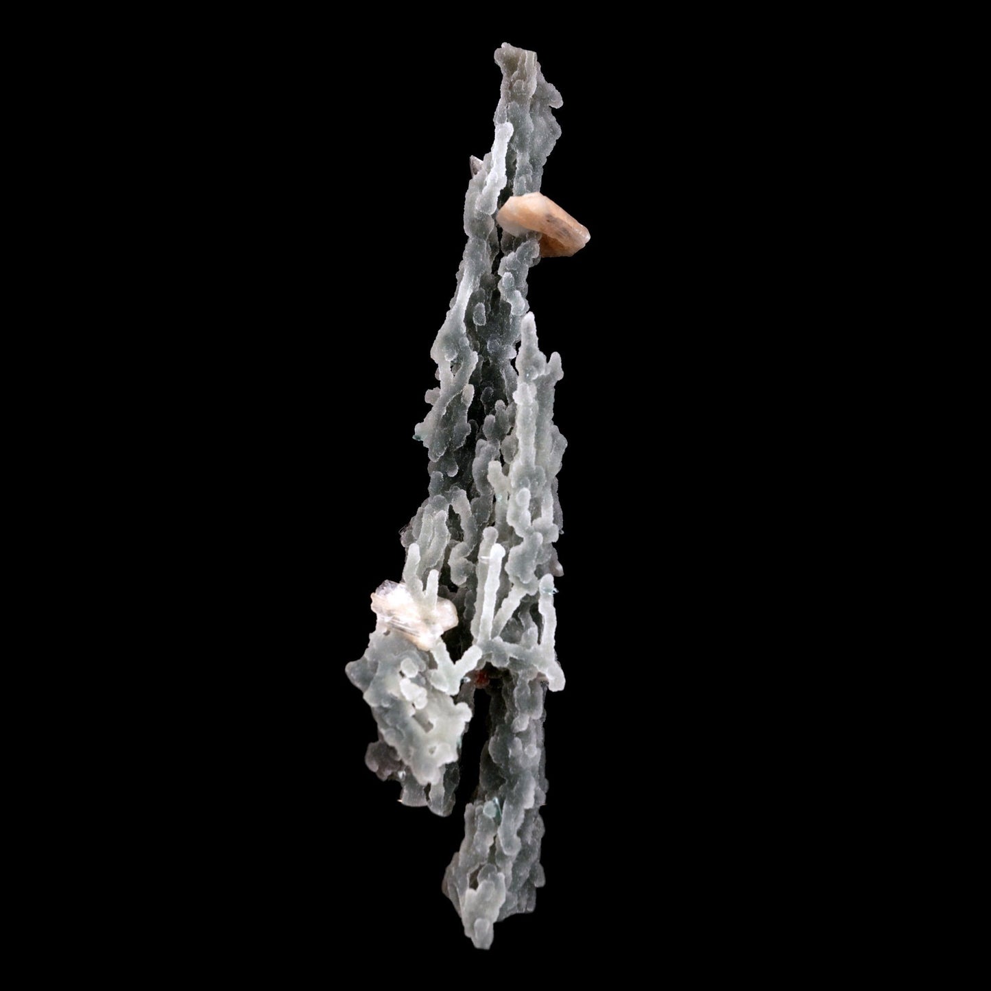 Stilbite on Chalcedony Stalactites Natural Mineral Specimen # B 4828 https://www.superbminerals.us/products/stilbite-on-chalcedony-stalactites-natural-mineral-specimen-b-4828 Features: Stalactites of drusy greenish-gray chalcedony dangle from a stunning corsage of iridescent, salmon-pink stilbite bowties. The matrix is highly sculptural.With only a few touched stalactite tips, this piece is essentially flawless and looks great from all angles!Outstanding huge Jalgaon combo