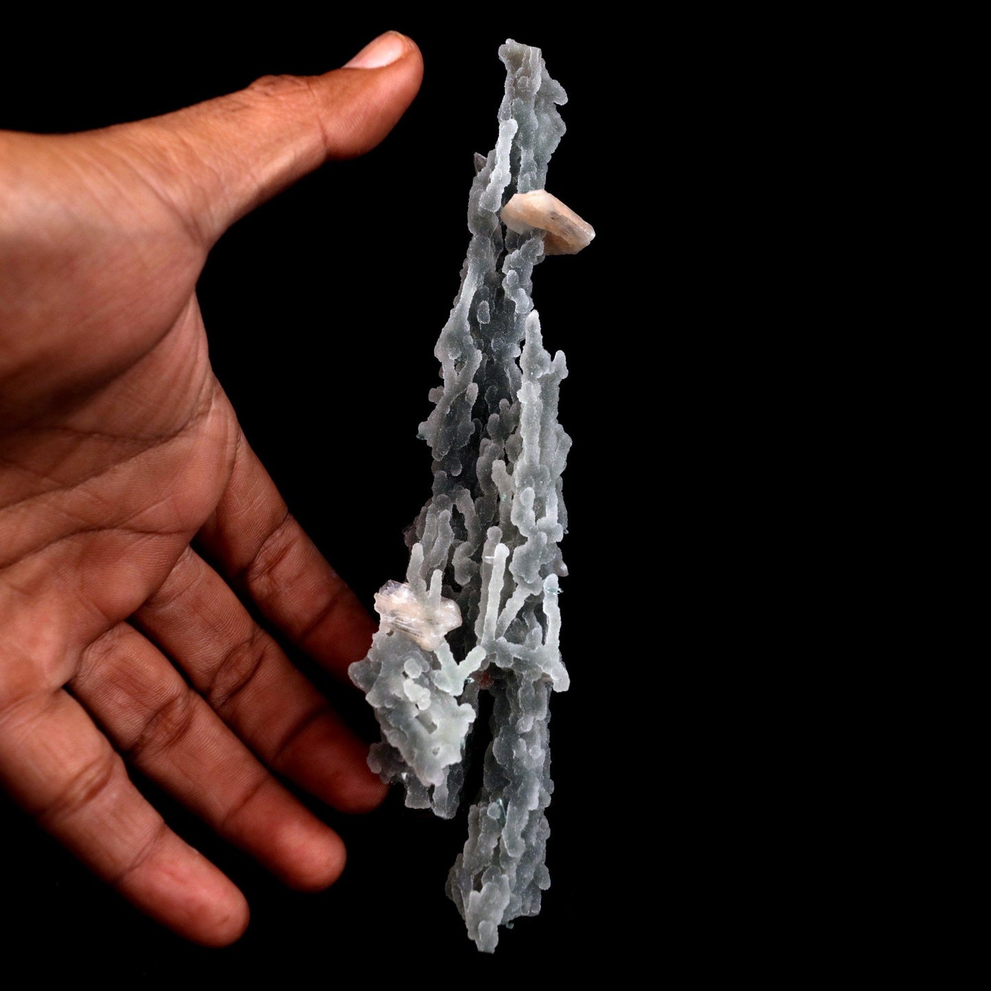 Stilbite on Chalcedony Stalactites Natural Mineral Specimen # B 4828 https://www.superbminerals.us/products/stilbite-on-chalcedony-stalactites-natural-mineral-specimen-b-4828 Features: Stalactites of drusy greenish-gray chalcedony dangle from a stunning corsage of iridescent, salmon-pink stilbite bowties. The matrix is highly sculptural.With only a few touched stalactite tips, this piece is essentially flawless and looks great from all angles!Outstanding huge Jalgaon combo