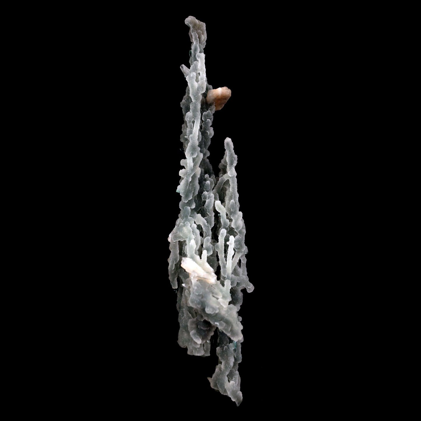 Stilbite on Chalcedony Stalactites Natural Mineral Specimen # B 4828 https://www.superbminerals.us/products/stilbite-on-chalcedony-stalactites-natural-mineral-specimen-b-4828 Features: Stalactites of drusy greenish-gray chalcedony dangle from a stunning corsage of iridescent, salmon-pink stilbite bowties. The matrix is highly sculptural.With only a few touched stalactite tips, this piece is essentially flawless and looks great from all angles!Outstanding huge Jalgaon combo