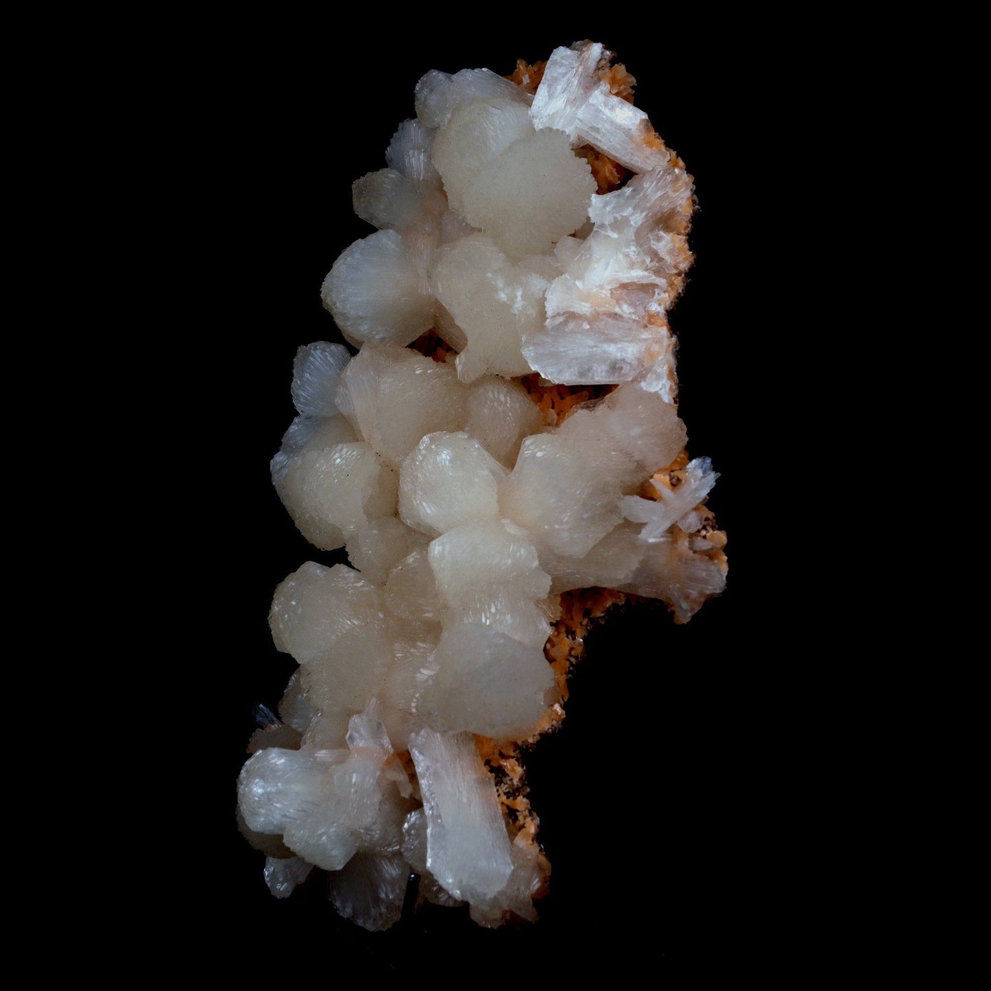 Stilbite on Heulandite Natural Mineral Specimen # B 4729 https://www.superbminerals.us/products/stilbite-on-heulandite-natural-mineral-specimen-b-4729 Features: Featuring many excellent quality bladed groups of Stilbite in a soft white hue, resting over pearly stalactitic formations of peach colored Heulandite, this piece is a stunning example of the material. The sculpture is really flashy and three-dimensional, and I particularly like how the Stilbites