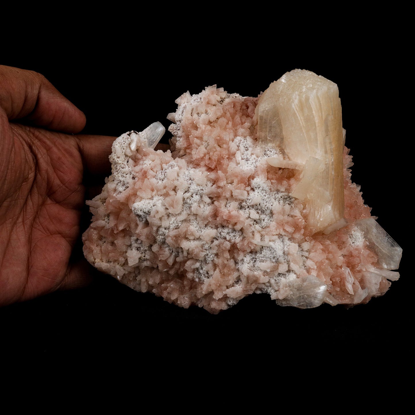 Stilbite on Heulanidte Natural Mineral Specimen # B 5154 https://www.superbminerals.us/products/stilbite-on-heulanidte-natural-mineral-specimen-b-5154 Features: This stilbite "bow tie" is beautiful, glossy, translucent, salmon pink.The shape and colour are stunning! As a species, it's quite common, and in classic bowtie shape, it's quite typical; a one-of-a-kind specimen for display purposes. Primary Mineral(s): Stilbite Secondary Mineral(s): N/AMatrix: Heulandite