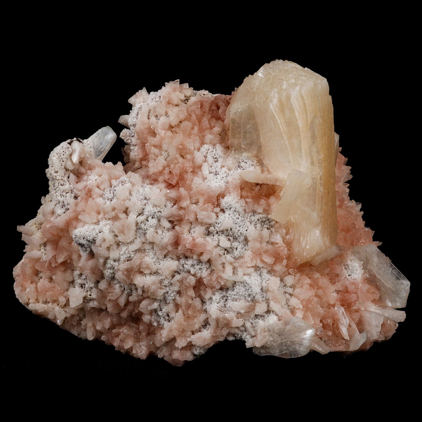 Stilbite on Heulanidte Natural Mineral Specimen # B 5154 https://www.superbminerals.us/products/stilbite-on-heulanidte-natural-mineral-specimen-b-5154 Features: This stilbite "bow tie" is beautiful, glossy, translucent, salmon pink.The shape and colour are stunning! As a species, it's quite common, and in classic bowtie shape, it's quite typical; a one-of-a-kind specimen for display purposes. Primary Mineral(s): Stilbite Secondary Mineral(s): N/AMatrix: Heulandite