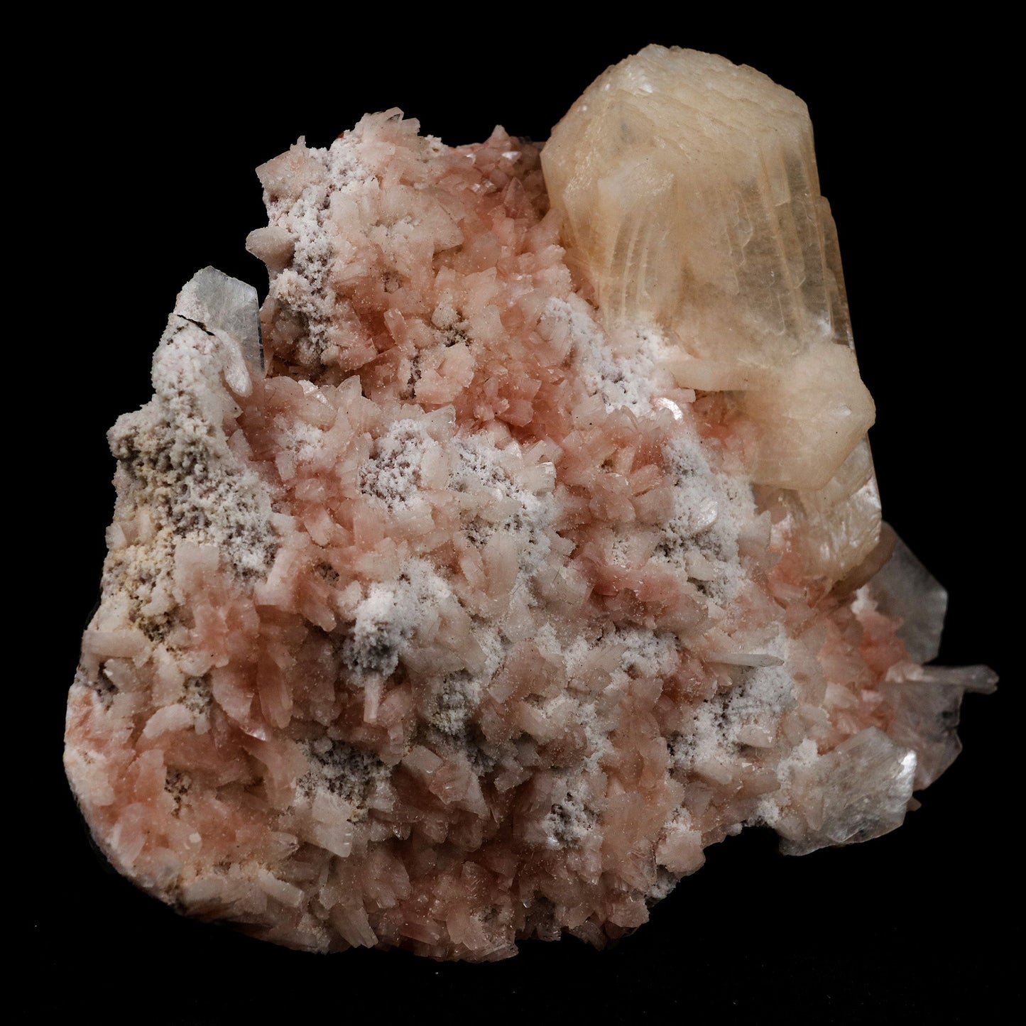 Stilbite on Heulanidte Natural Mineral Specimen # B 5154 https://www.superbminerals.us/products/stilbite-on-heulanidte-natural-mineral-specimen-b-5154 Features: This stilbite "bow tie" is beautiful, glossy, translucent, salmon pink.The shape and colour are stunning! As a species, it's quite common, and in classic bowtie shape, it's quite typical; a one-of-a-kind specimen for display purposes. Primary Mineral(s): Stilbite Secondary Mineral(s): N/AMatrix: Heulandite