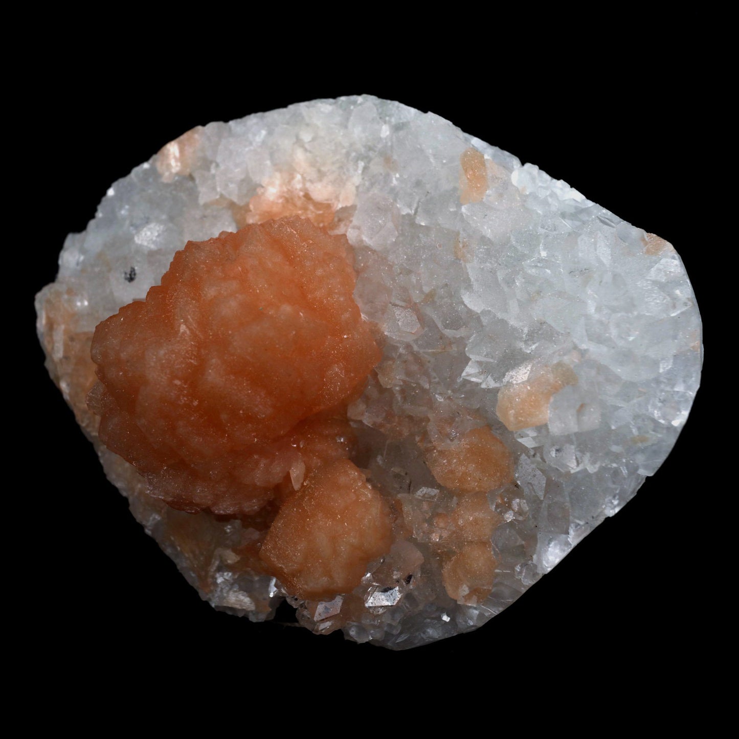 Stilbite Orange on Apophyllite Microcrystaline Natural Mineral Specime… https://www.superbminerals.us/products/stilbite-orange-on-apophyllite-microcrystaline-natural-mineral-specimen-b-4682 Features: A magnificent, razor-sharp, vitreous, soft peach-colored "sword"-shaped group of Stilbite is flaring out of a group of fine quality, razor-sharp, lustrous, prismatic Apophyllite crystals on a little quantity of white Chalcedony in this eye-catching three-dimensional display piece. The most massive Apophyllite