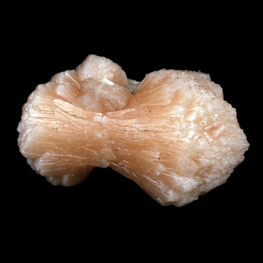 Stilbite 'Perfect Bowtie' Natural Mineral Specimen # B 3901 https://www.superbminerals.us/products/stilbite-perfect-bowtie-natural-mineral-specimen-b-3901 FeaturesThis example choices a larger than average combination of "tie" framed, hazy and radiant pink/salmon hued Stilbite crystal. the shade of this Stilbite isn't decisively the atypical salmon tone, anyway as referenced, it's a little pink tone to that that makes it a limited quantity extra particular.