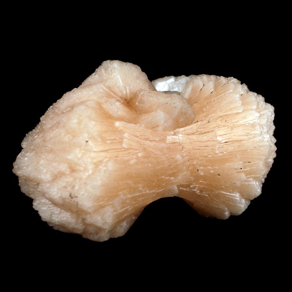 Stilbite 'Perfect Bowtie' Natural Mineral Specimen # B 3901 https://www.superbminerals.us/products/stilbite-perfect-bowtie-natural-mineral-specimen-b-3901 FeaturesThis example choices a larger than average combination of "tie" framed, hazy and radiant pink/salmon hued Stilbite crystal. the shade of this Stilbite isn't decisively the atypical salmon tone, anyway as referenced, it's a little pink tone to that that makes it a limited quantity extra particular.