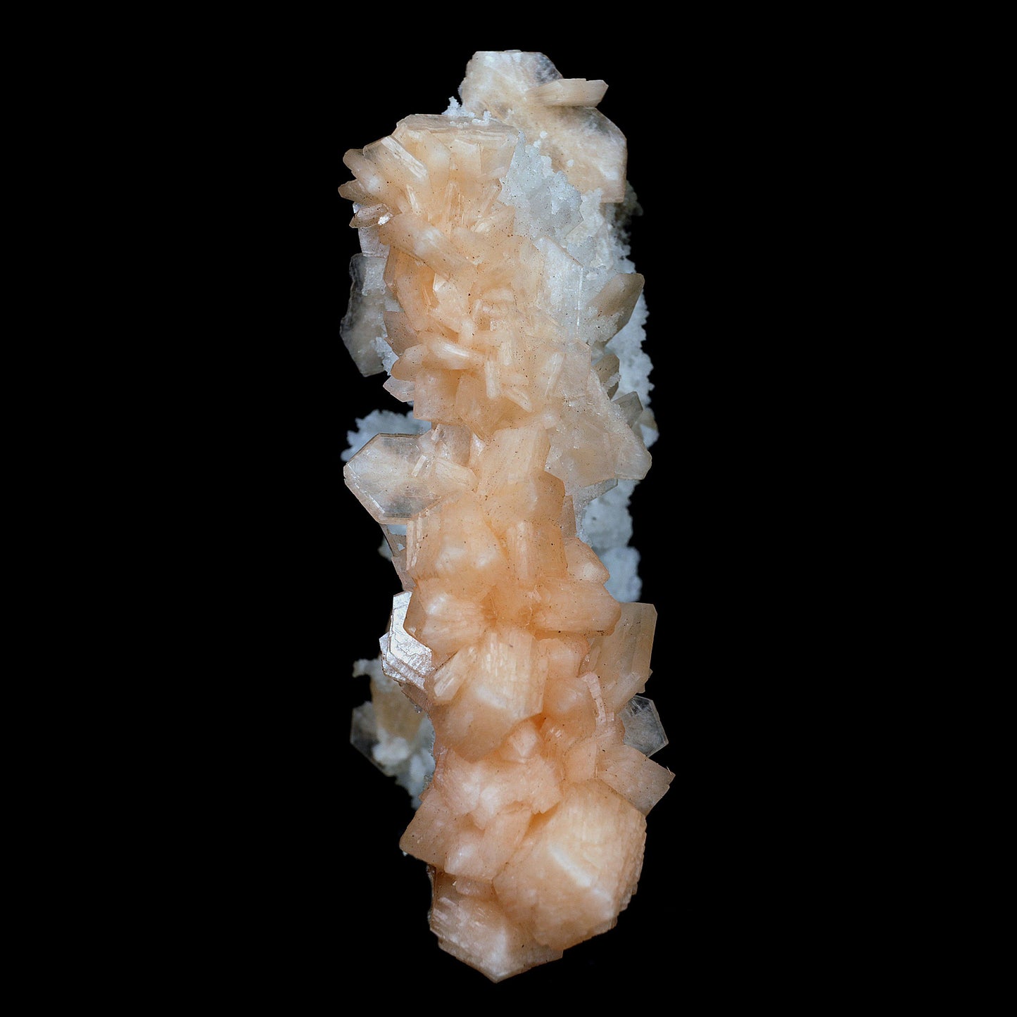 Stilbite with Chalcedony 'V' Formation Natural Mineral Specimen # B 39… https://www.superbminerals.us/products/stilbite-with-chalcedony-v-formation-natural-mineral-specimen-b-3973 Features This intricate Chalcedony stalactite hosts red-peach Stilbite and beautifully smaller gemmy Stilbite crystal on a another part of Chalcedony contrasting matrix. Endless fractal adventures await! Primary Mineral(s): Stilbite Secondary Mineral(s): N/AMatrix: Chalcedony14 cm x 10 cm345 Gms