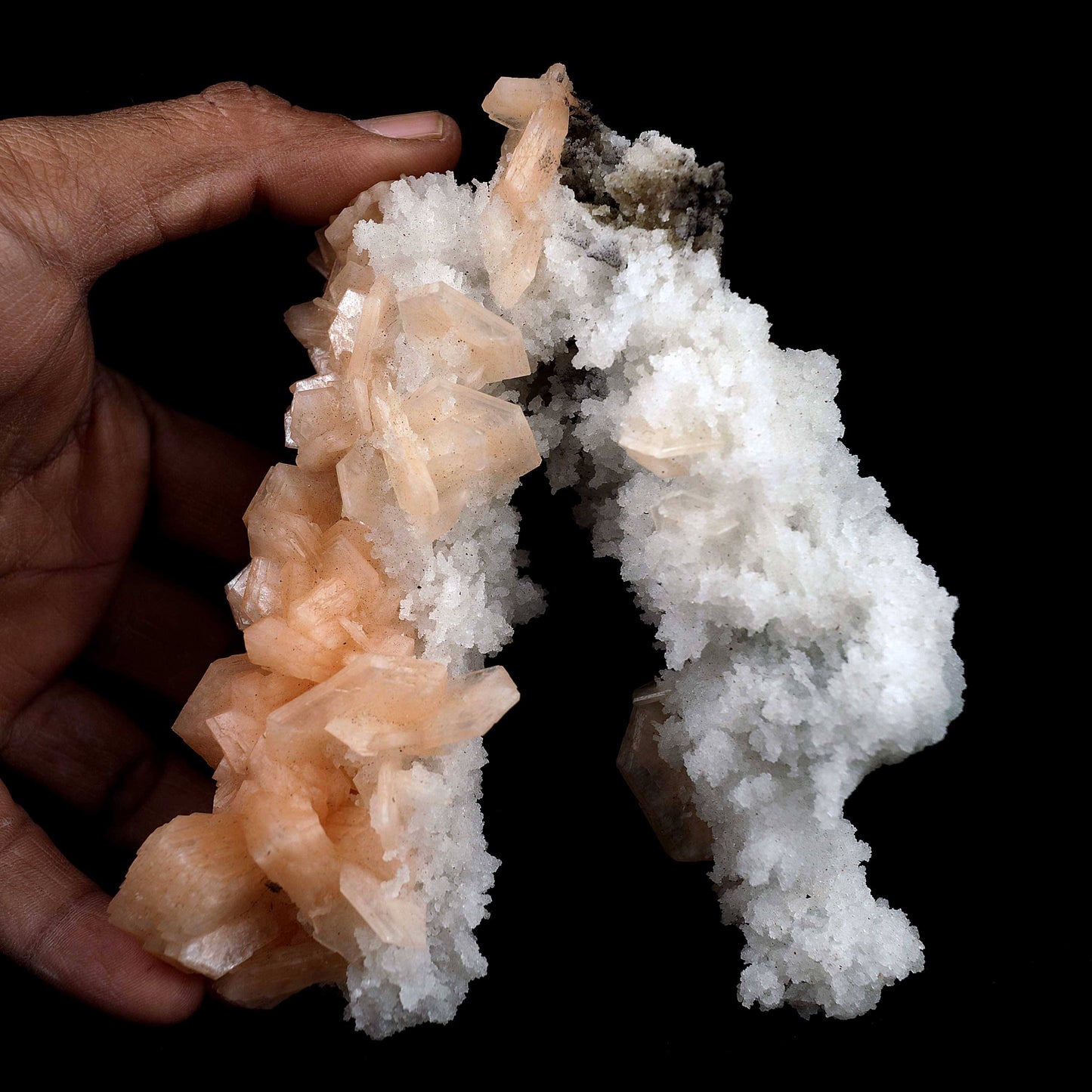Stilbite with Chalcedony 'V' Formation Natural Mineral Specimen # B 39… https://www.superbminerals.us/products/stilbite-with-chalcedony-v-formation-natural-mineral-specimen-b-3973 Features This intricate Chalcedony stalactite hosts red-peach Stilbite and beautifully smaller gemmy Stilbite crystal on a another part of Chalcedony contrasting matrix. Endless fractal adventures await! Primary Mineral(s): Stilbite Secondary Mineral(s): N/AMatrix: Chalcedony14 cm x 10 cm345 Gms