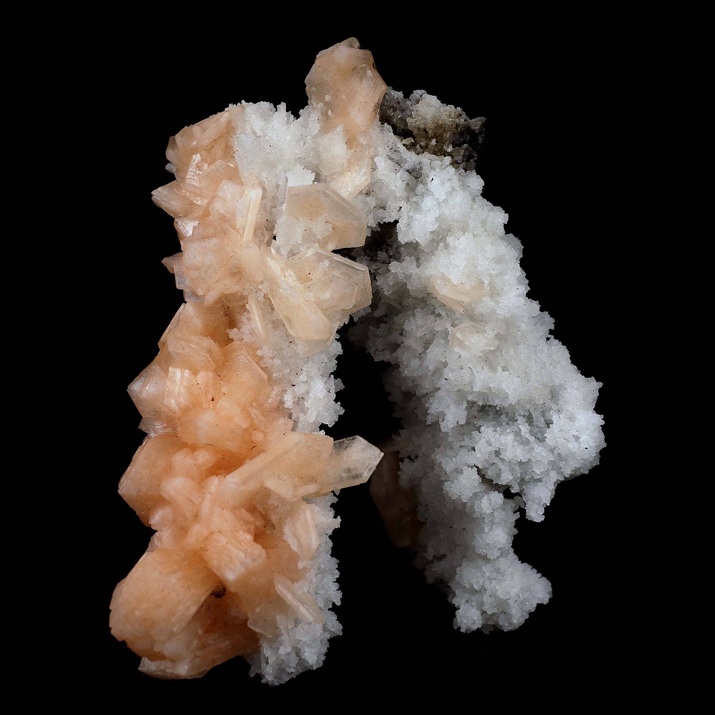 Stilbite with Chalcedony 'V' Formation Natural Mineral Specimen # B 39… https://www.superbminerals.us/products/stilbite-with-chalcedony-v-formation-natural-mineral-specimen-b-3973 Features This intricate Chalcedony stalactite hosts red-peach Stilbite and beautifully smaller gemmy Stilbite crystal on a another part of Chalcedony contrasting matrix. Endless fractal adventures await! Primary Mineral(s): Stilbite Secondary Mineral(s): N/AMatrix: Chalcedony14 cm x 10 cm345 Gms