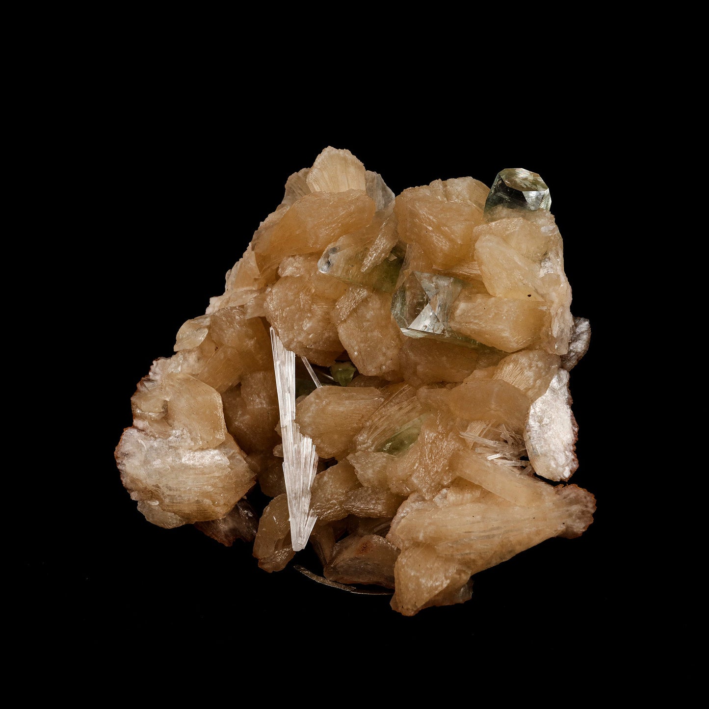 Stilbite with Scolecite Spray, Green Apophyllite Natural Mineral Speci… https://www.superbminerals.us/products/stilbite-with-scolecite-spray-green-apophyllite-natural-mineral-specimen-b-5245 Features: Featuring numerous large, lustrous green modified cubes on a dark-brown matrix containing numerous acicular sprays of white or colorless Scolecite crystals. Primary Mineral(s): StilbiteSecondary Mineral(s): Apophyllite, ScoleciteMatrix: N/A 5 Inch x 4.5 InchWeight : 384 GmsLocality: Jalgaon