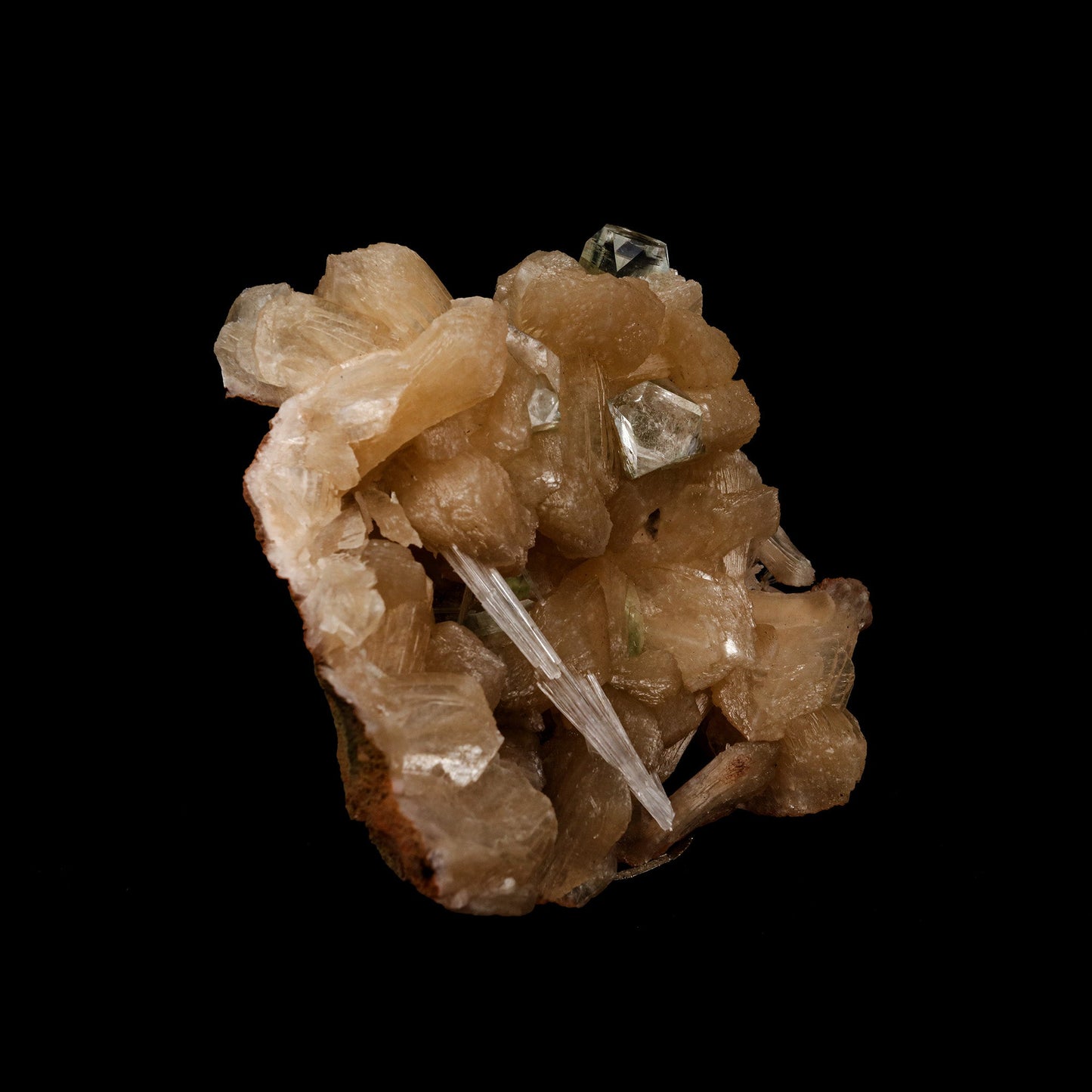 Stilbite with Scolecite Spray, Green Apophyllite Natural Mineral Speci… https://www.superbminerals.us/products/stilbite-with-scolecite-spray-green-apophyllite-natural-mineral-specimen-b-5245 Features: Featuring numerous large, lustrous green modified cubes on a dark-brown matrix containing numerous acicular sprays of white or colorless Scolecite crystals. Primary Mineral(s): StilbiteSecondary Mineral(s): Apophyllite, ScoleciteMatrix: N/A 5 Inch x 4.5 InchWeight : 384 GmsLocality: Jalgaon