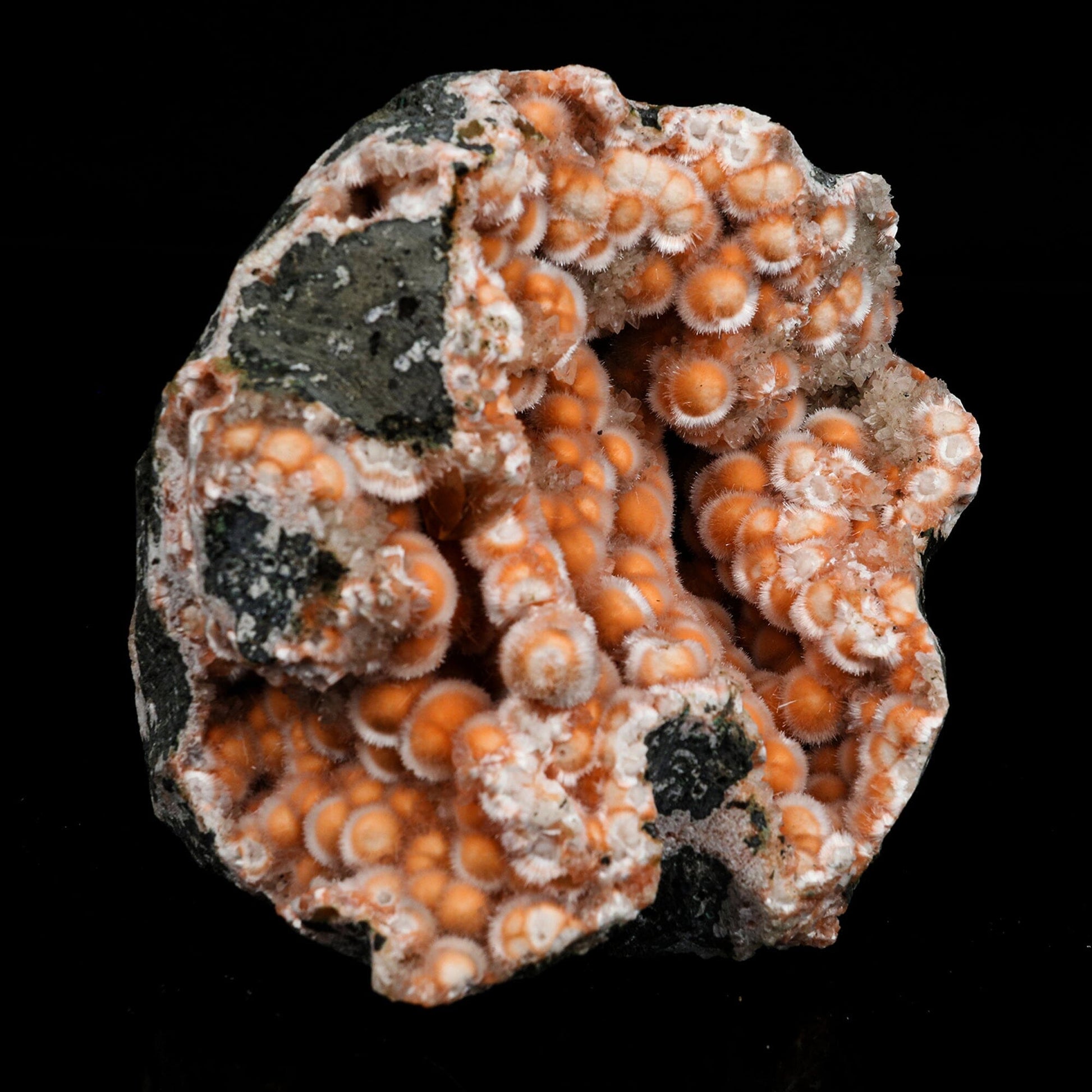 Thomsonite Orange Rare, Free Standing Natural Mineral Specimen # B 6697 Thomsonite Superb Minerals 