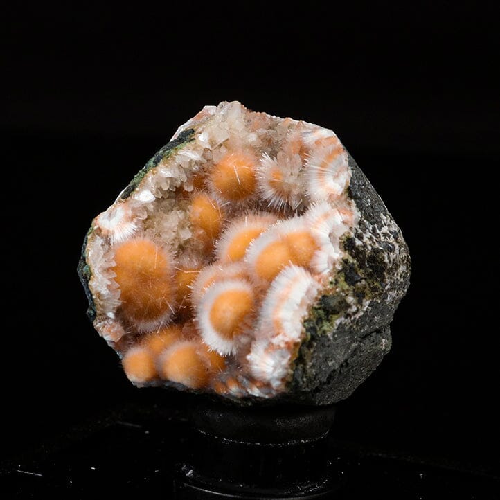Thomsonite Orange Rare, Free Standing Natural Mineral Specimen # B 6703 Thomsonite Superb Minerals